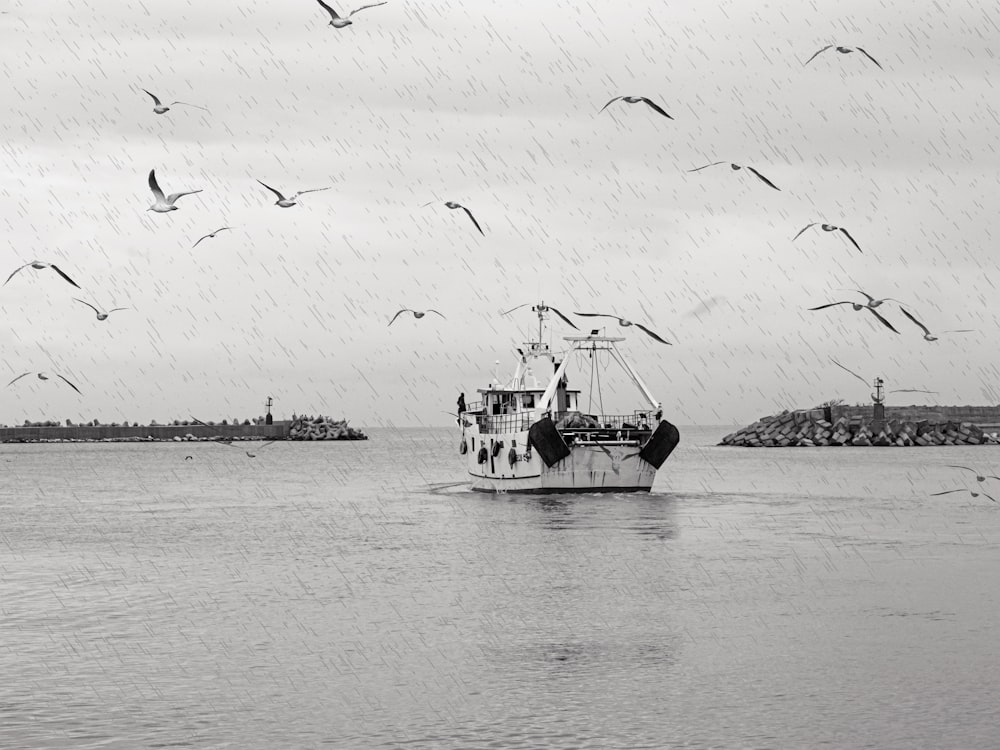 a boat in the water with seagulls flying around