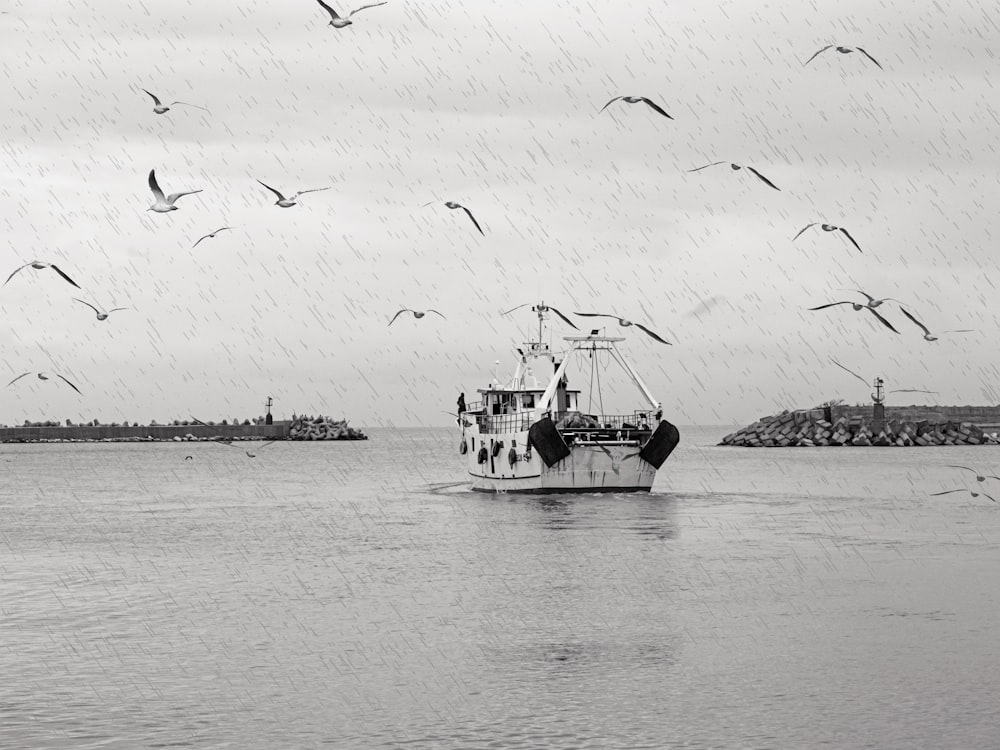 um barco na água com gaivotas voando ao redor