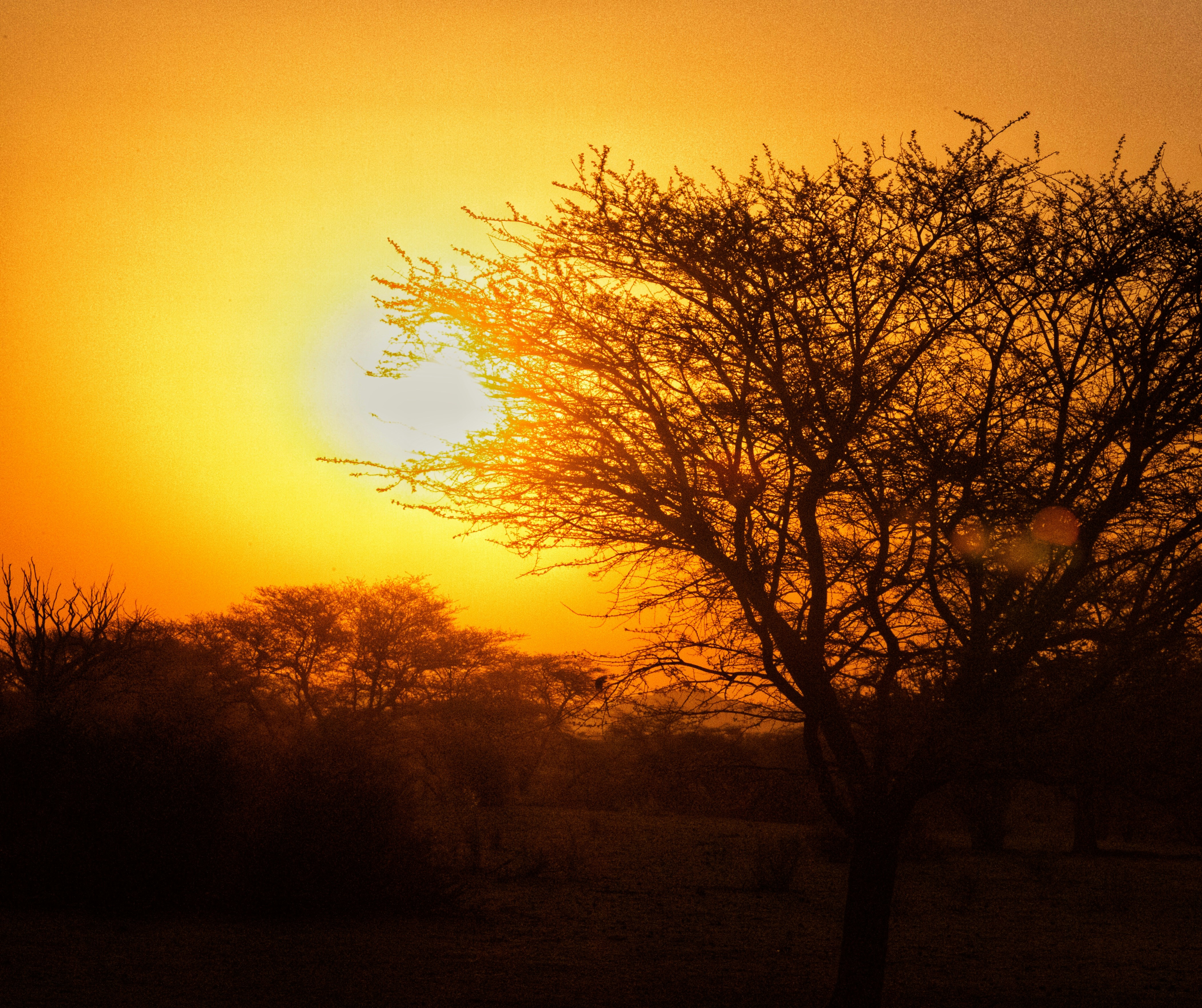 Réservez votre safari