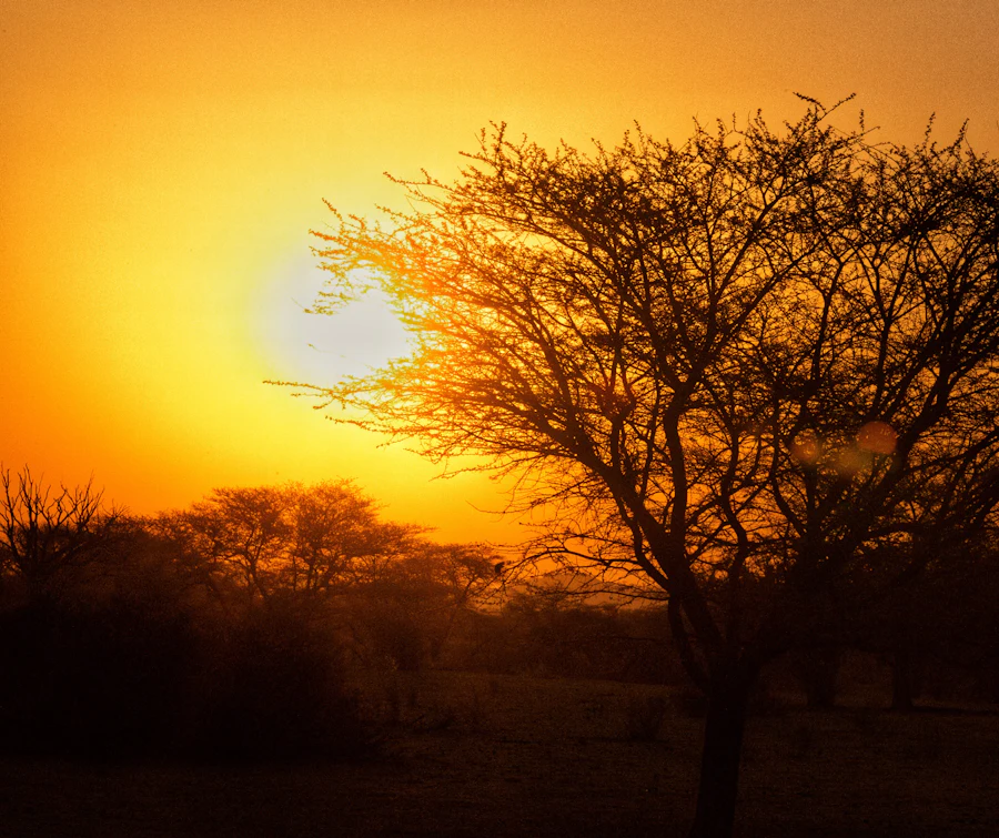 Arusha vs Moshi: Where Should You Stay?