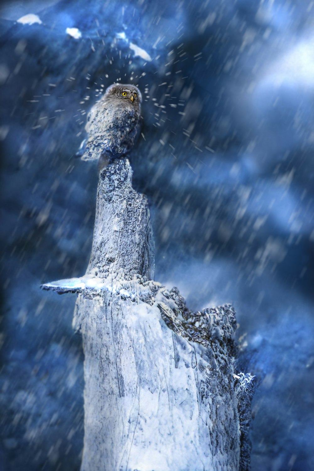 a bird sitting on top of a rock in the snow