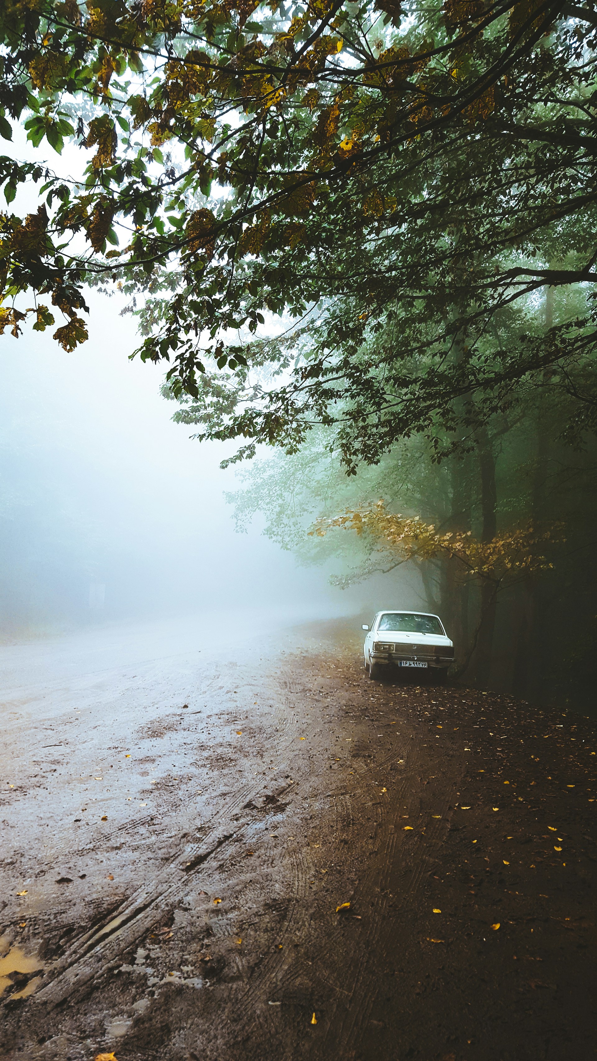 woman wearing yellow long-sleeved dress under white clouds and blue sky during daytime