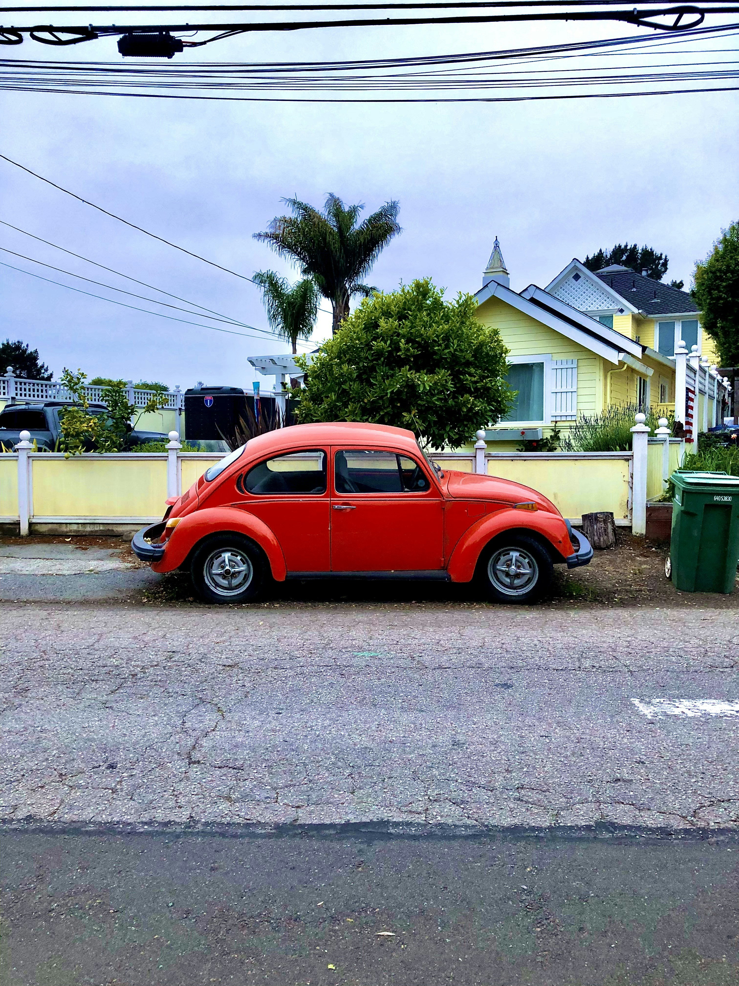 Photo by lindsaygess