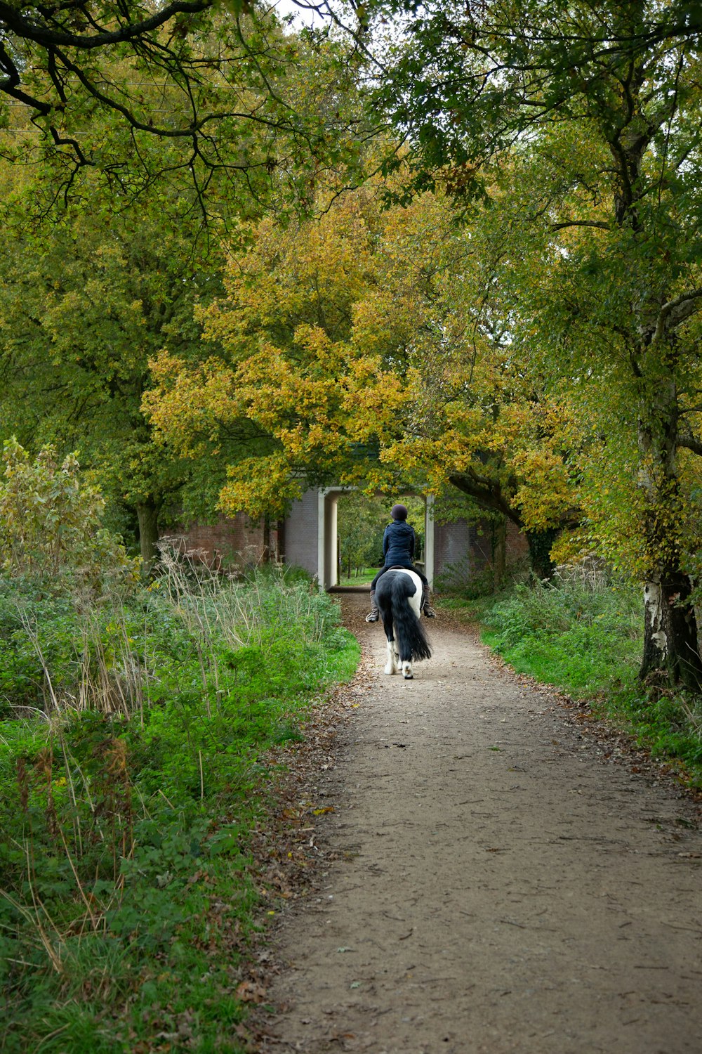 a person riding a horse down a dirt road