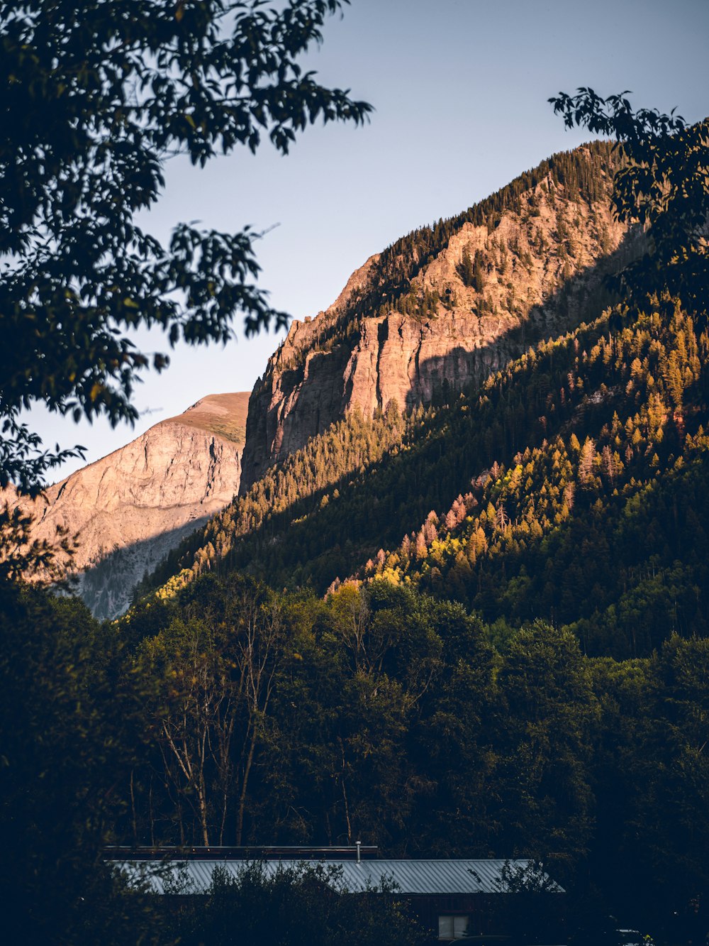 a view of a mountain with trees in the foreground