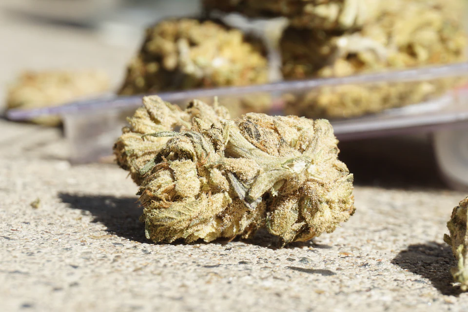 The image shows a close-up view of a single marijuana bud, which appears to be a dried flower or weed. The bud is resting on a concrete surface, possibly a sidewalk or street, with its stem pointing upwards and its leaves facing downwards. In the background, there are other buds scattered around, suggesting that this scene might be taking place in an area where people smoke or grow marijuana plants.