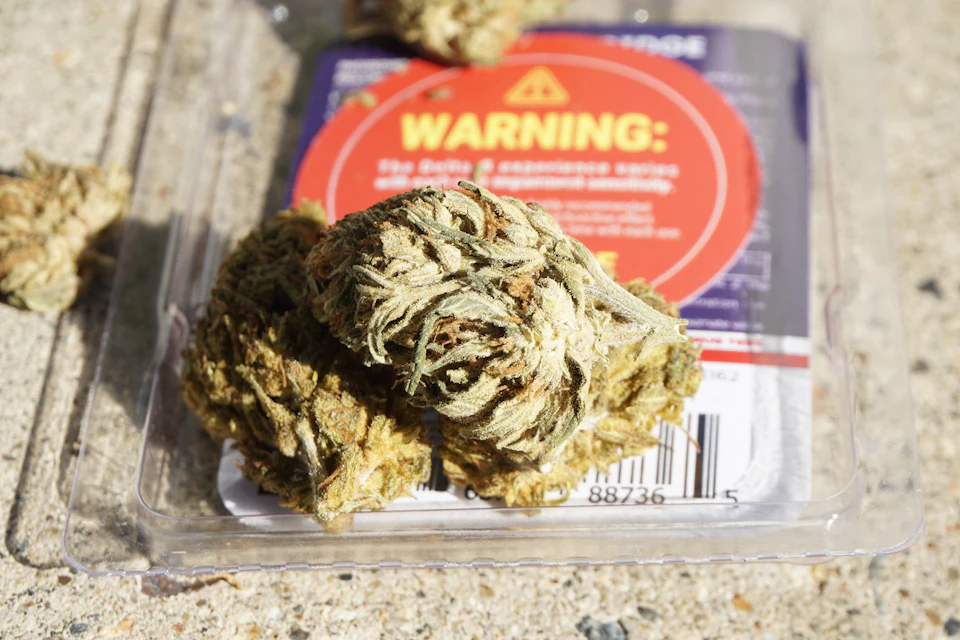 The image shows a close-up view of two marijuana buds, each with a warning label on them. The buds are nestled within a clear plastic container that is placed on a concrete surface. The container has a red and white label with black text that reads "WARNING!: The product may contain traces of tetrahydrocannabinol (THC)".