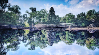 A serene view of Sri Lanka's lush forest trails with ancient ruins peeking through.