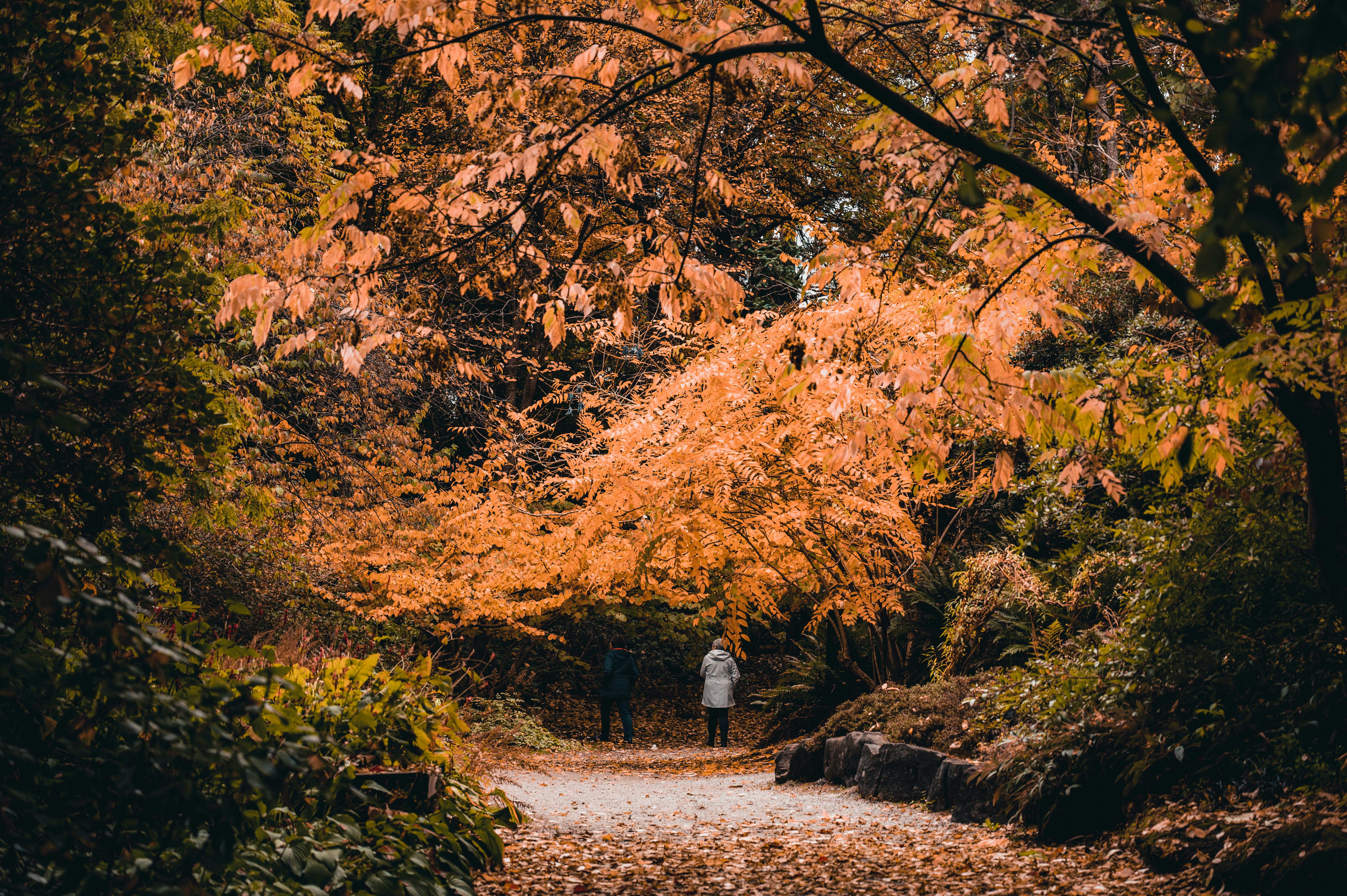 Photo by ryunosuke_kikuno