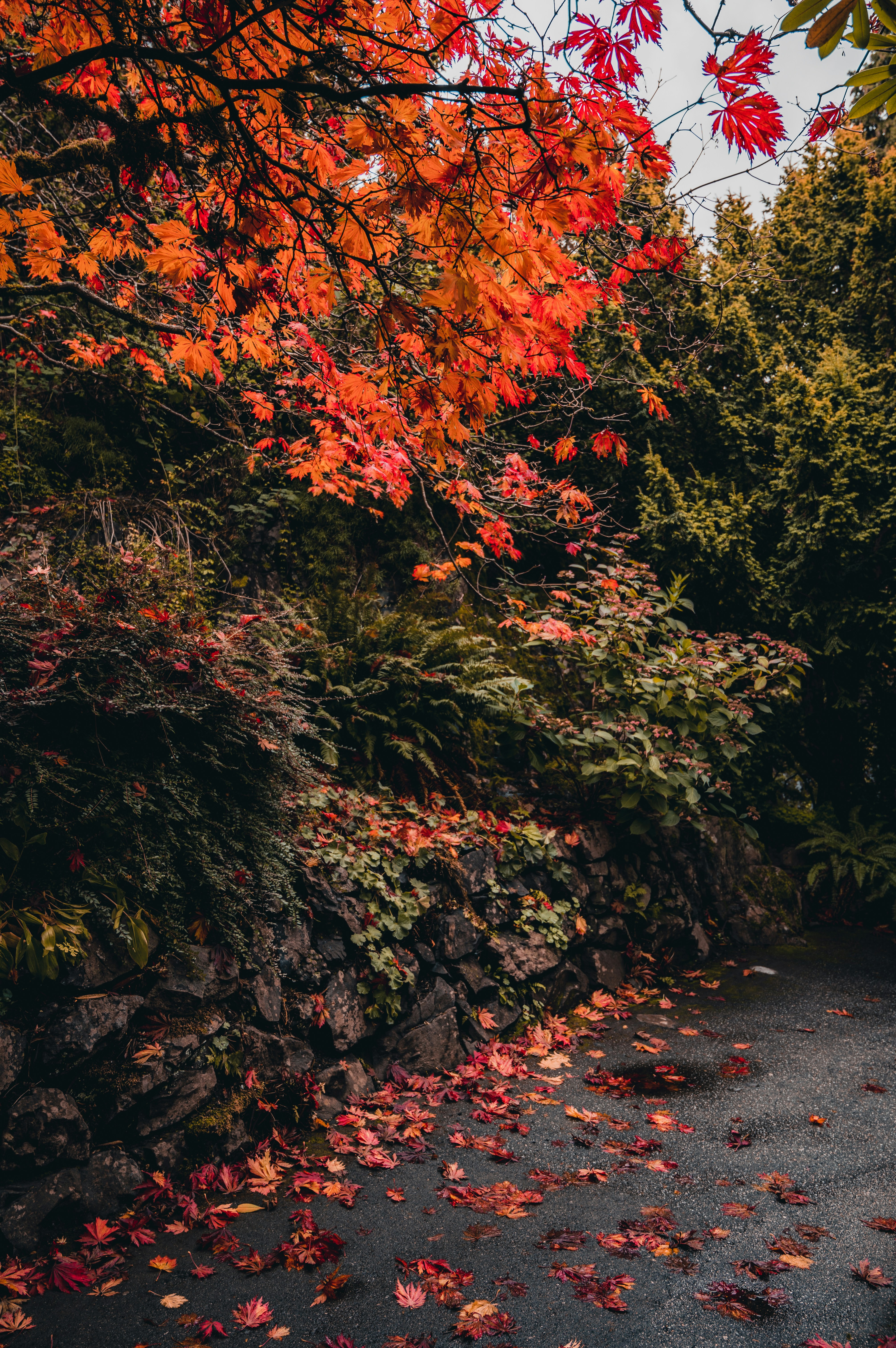 Photo by ryunosuke_kikuno