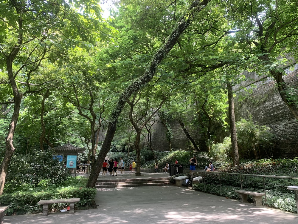 a group of people walking through a lush green park