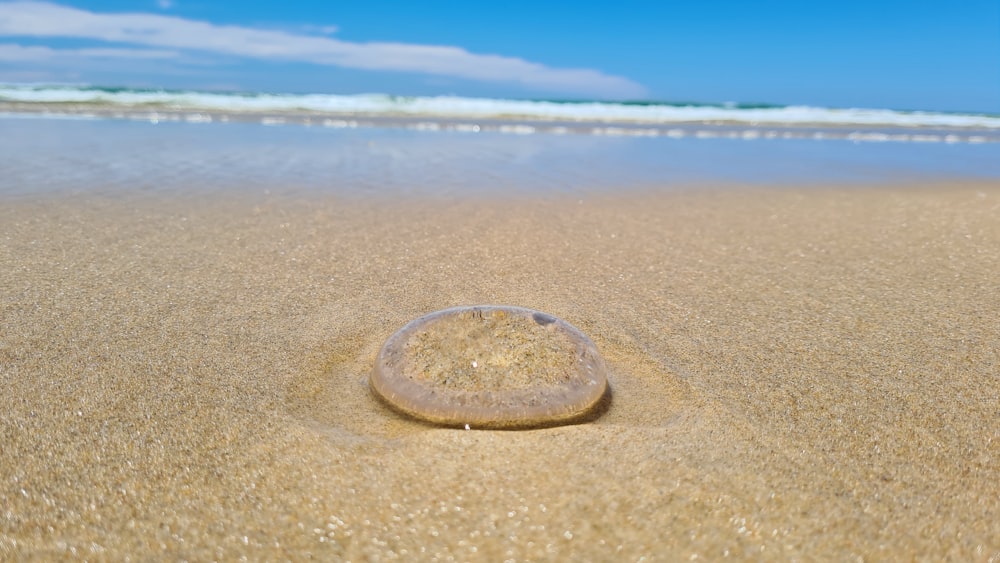 a rock sitting on top of a sandy beach