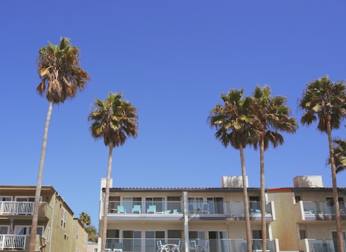 Nuevo — furnished monthly rentals