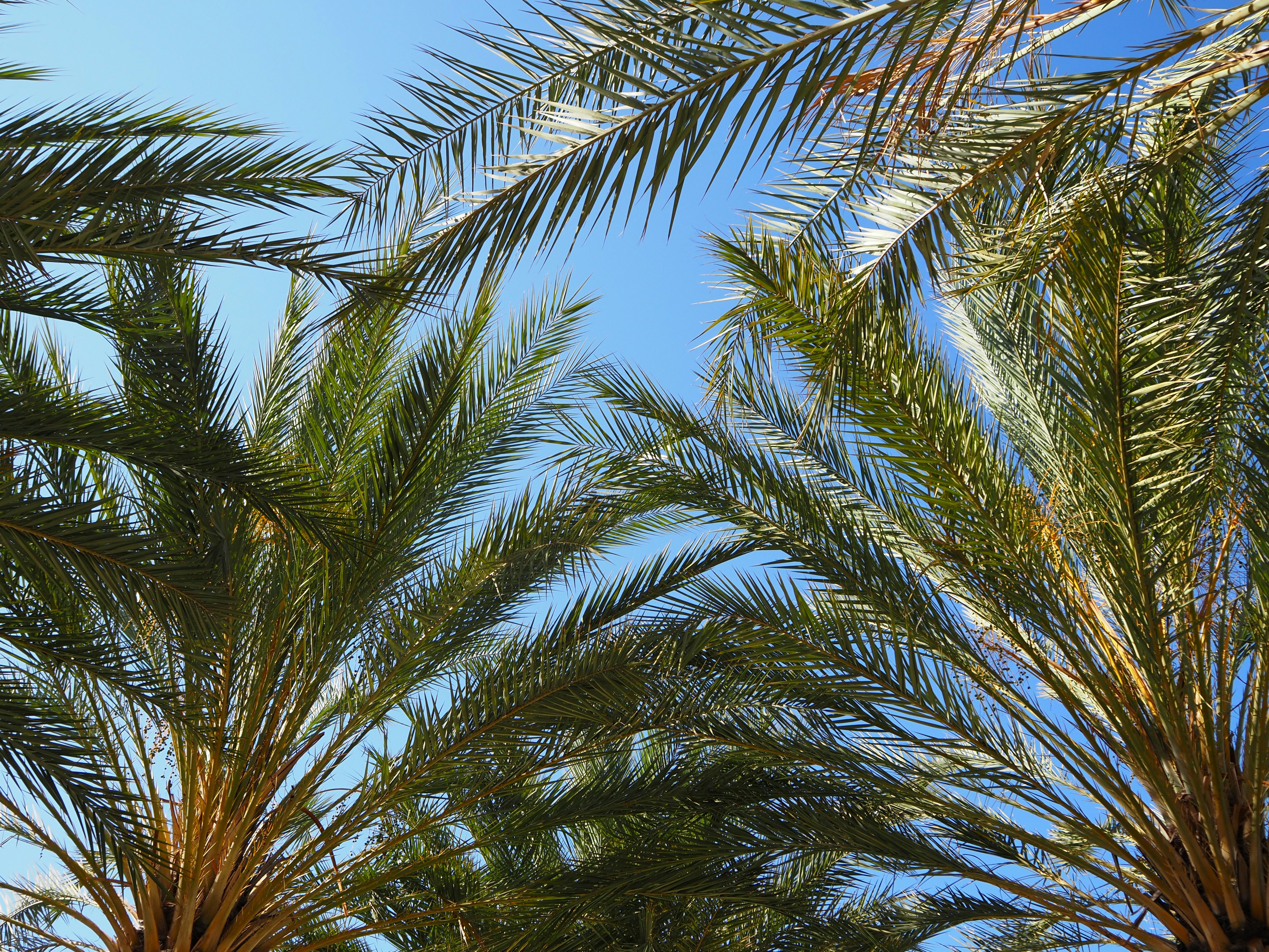 Photo by samanthadeestudio