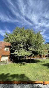A bright, green campus with students engaged in outdoor learning under tall trees.