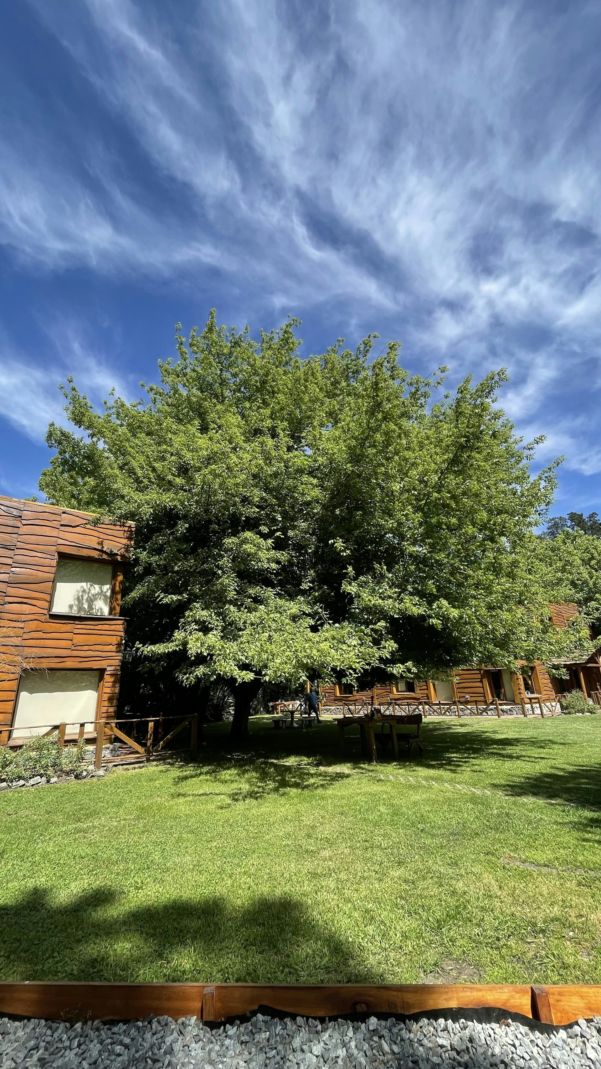 gray computer monitor