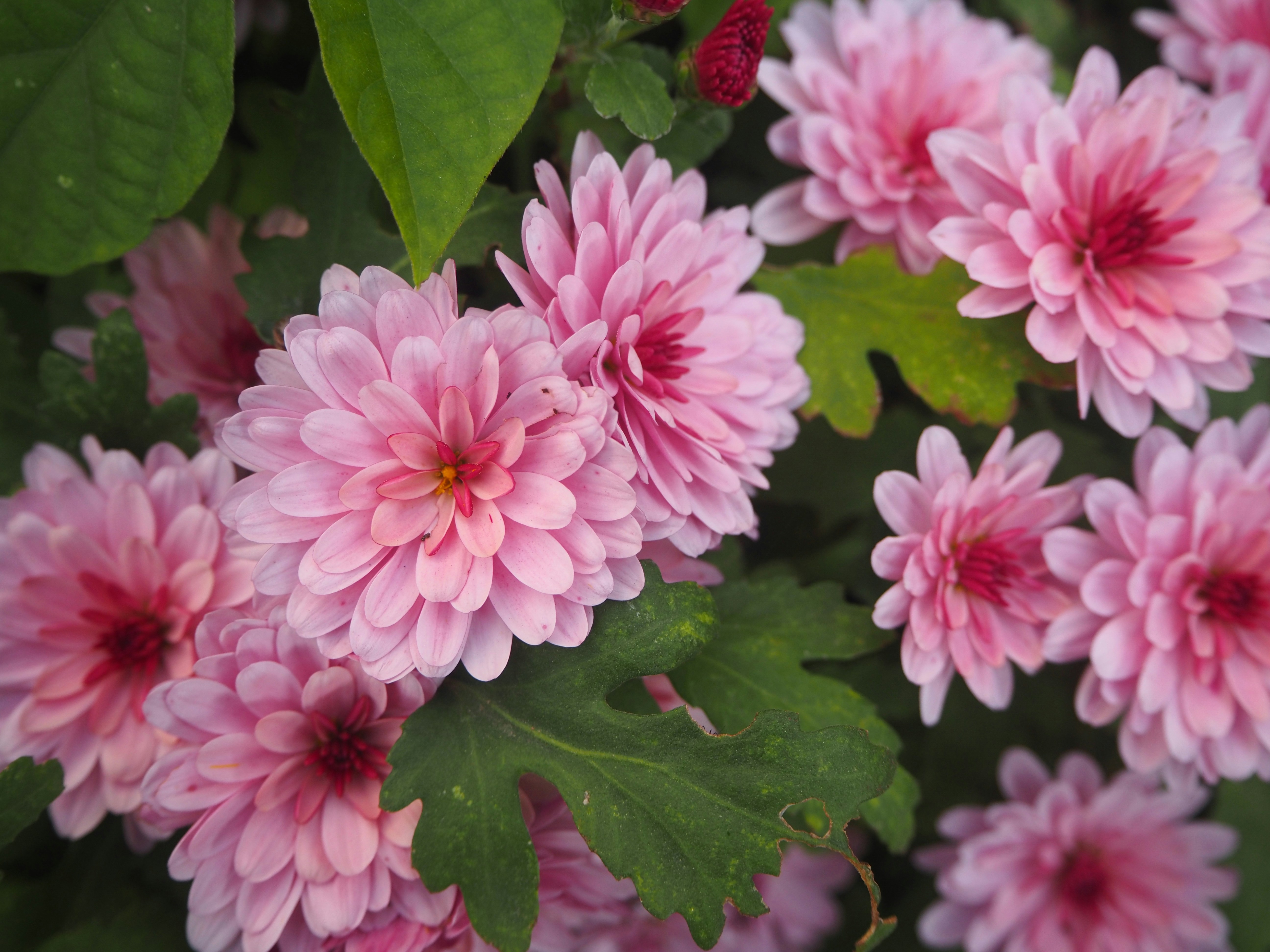 Photo by samanthadeestudio