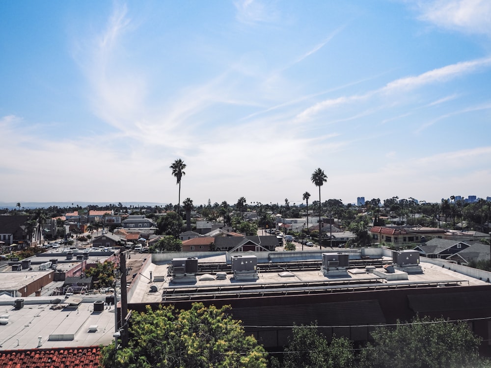 a view of a city with palm trees and buildings