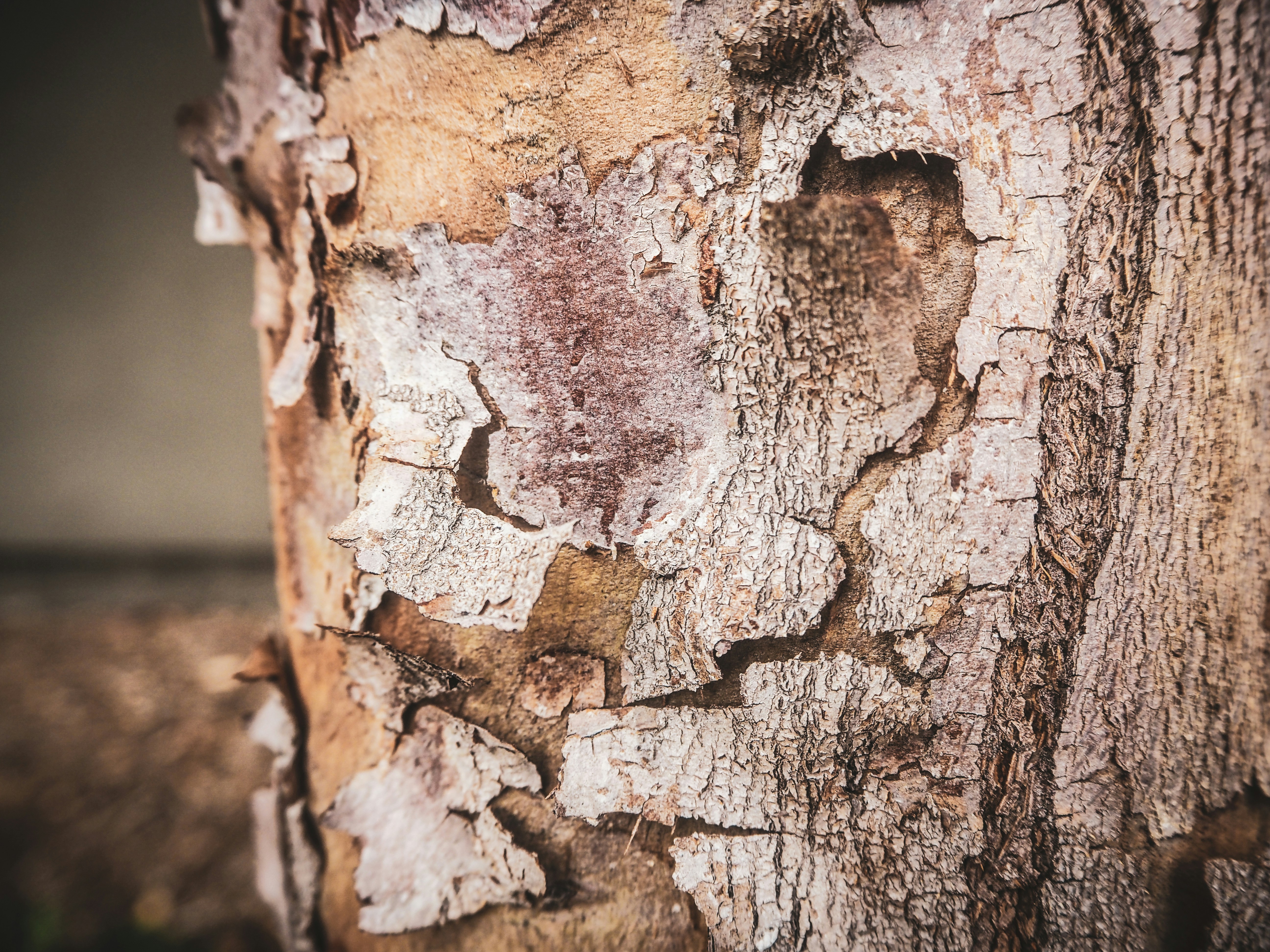 Photo by samanthadeestudio