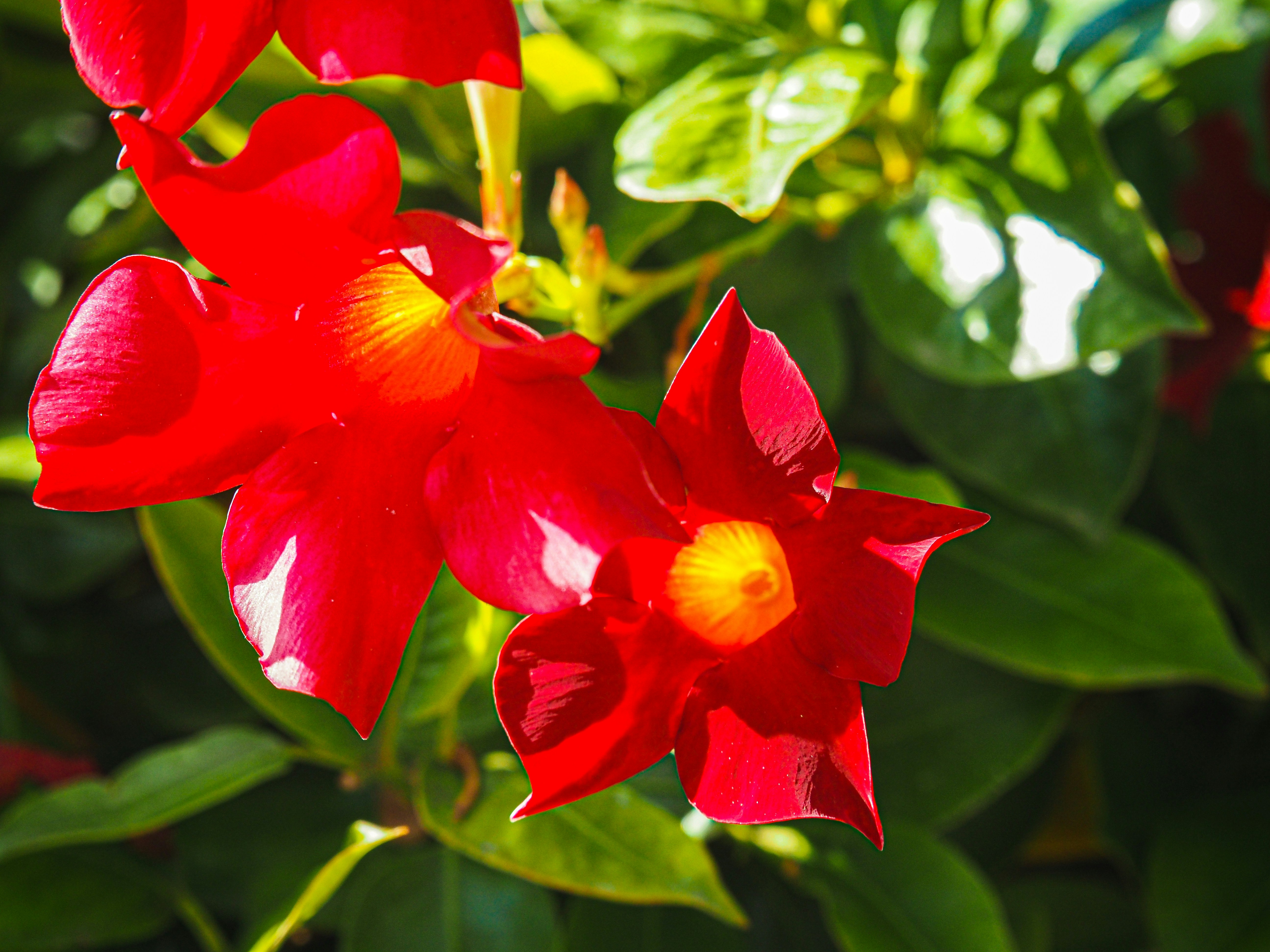 Photo by samanthadeestudio