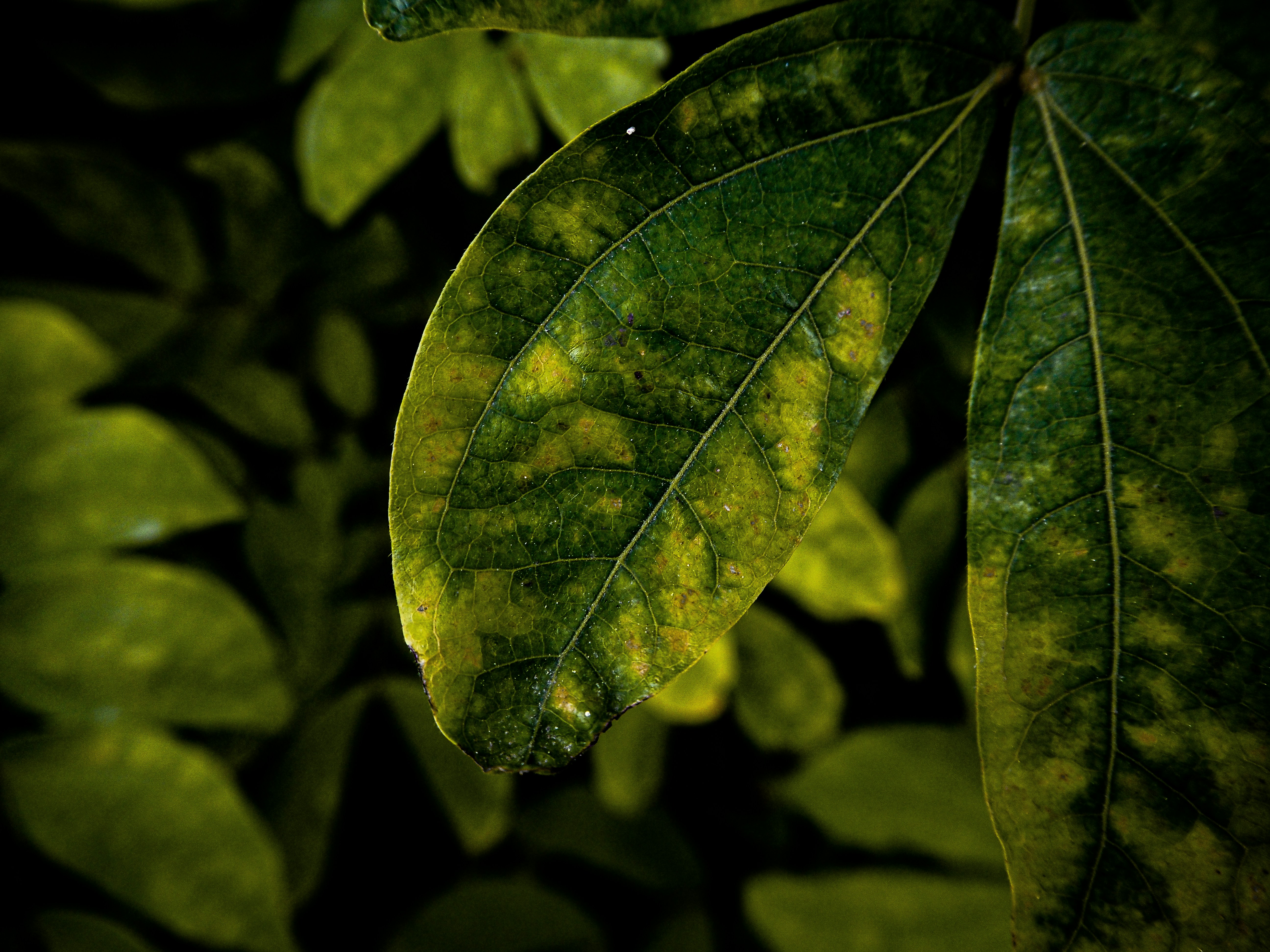 Photo by samanthadeestudio