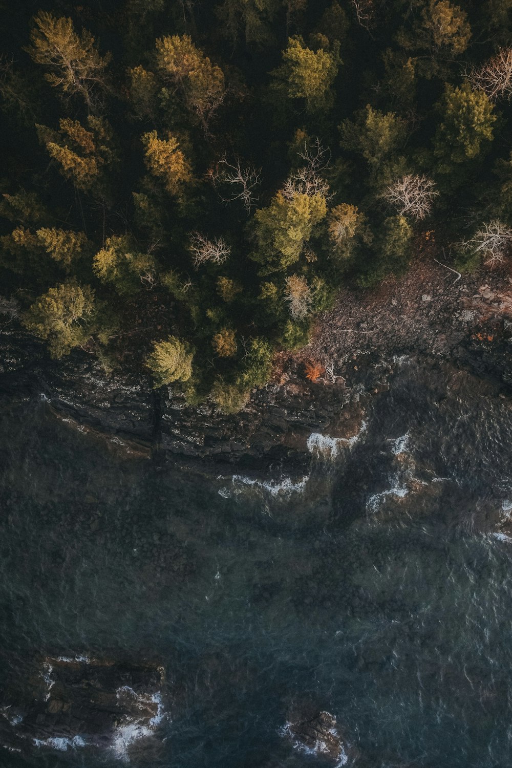 an aerial view of a body of water surrounded by trees