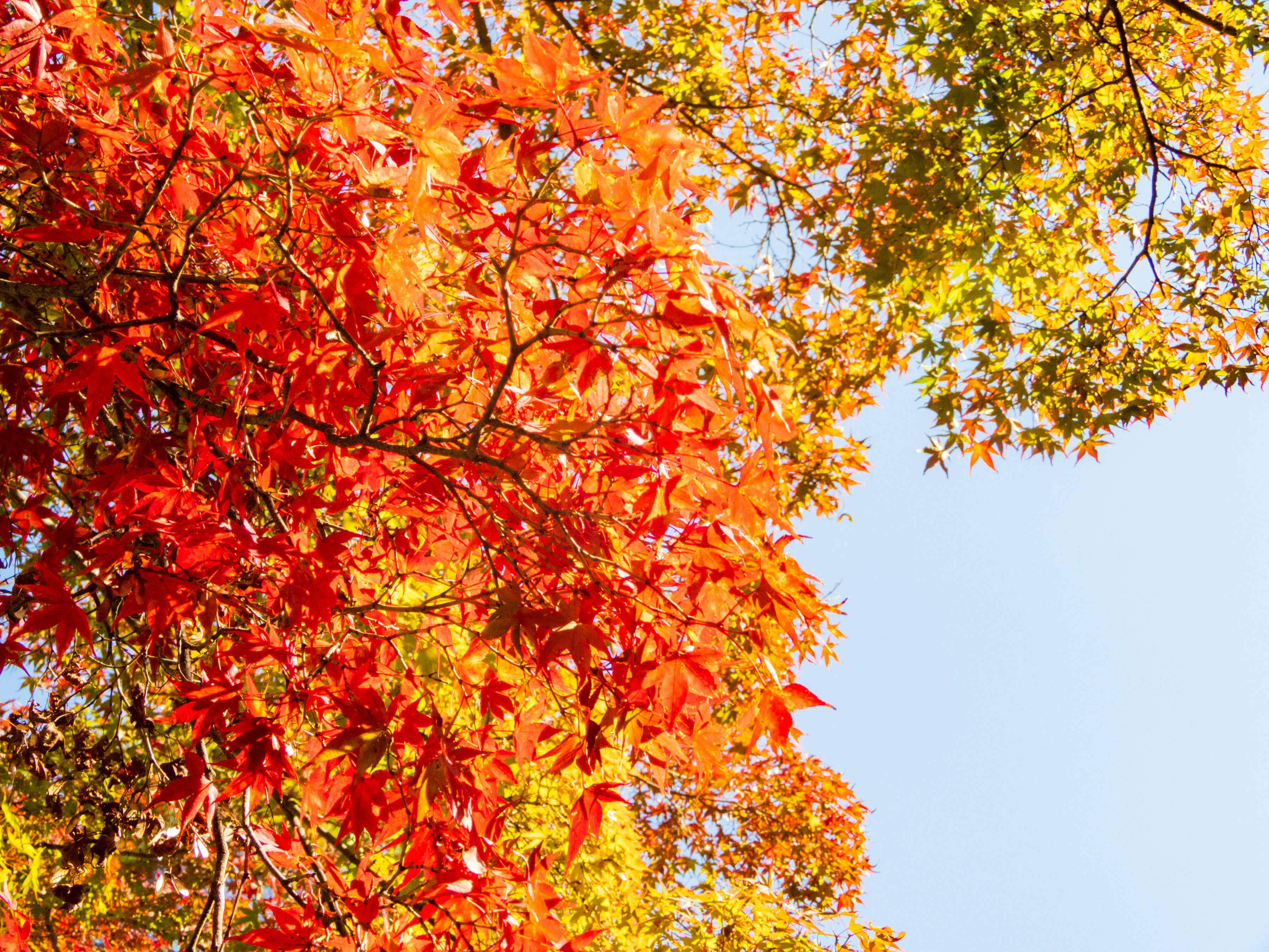 Photo by heppoko_yama