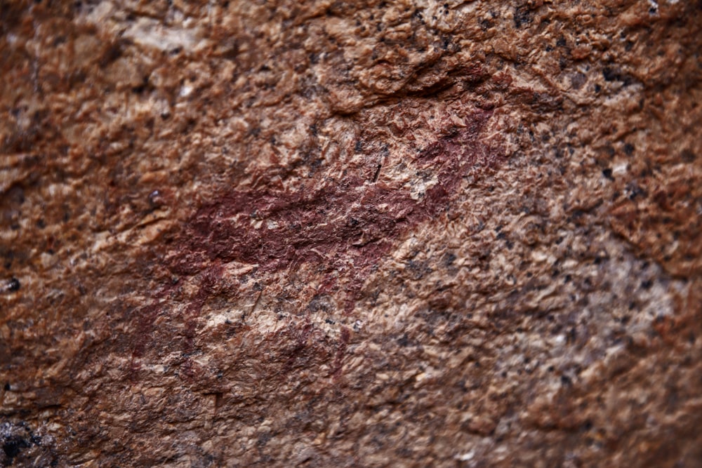 a close up of a rock with a red spot on it