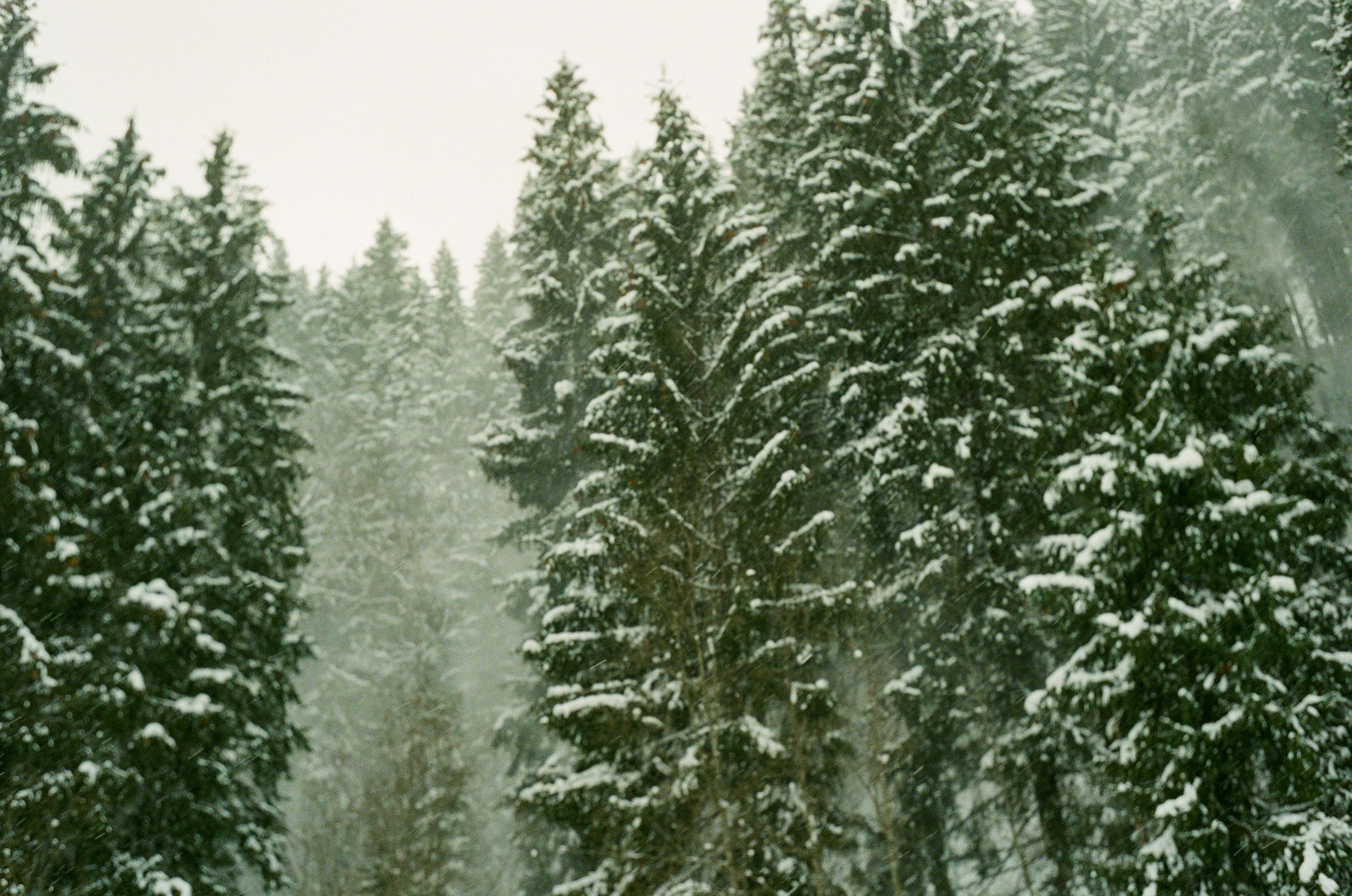 Photo by sashasmelova