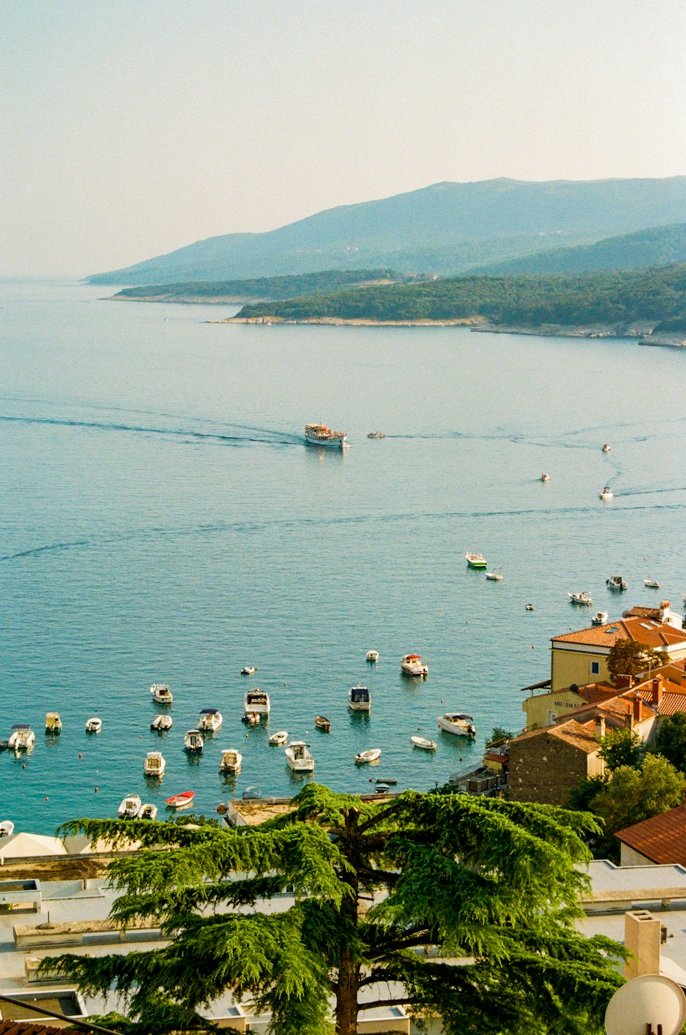 a body of water filled with lots of boats