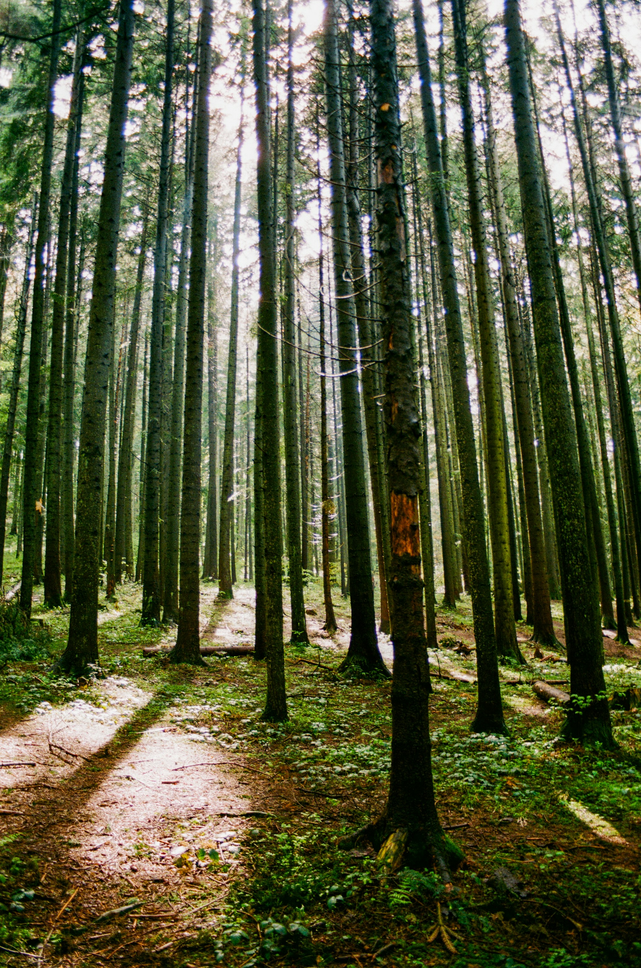 Photo by sashasmelova