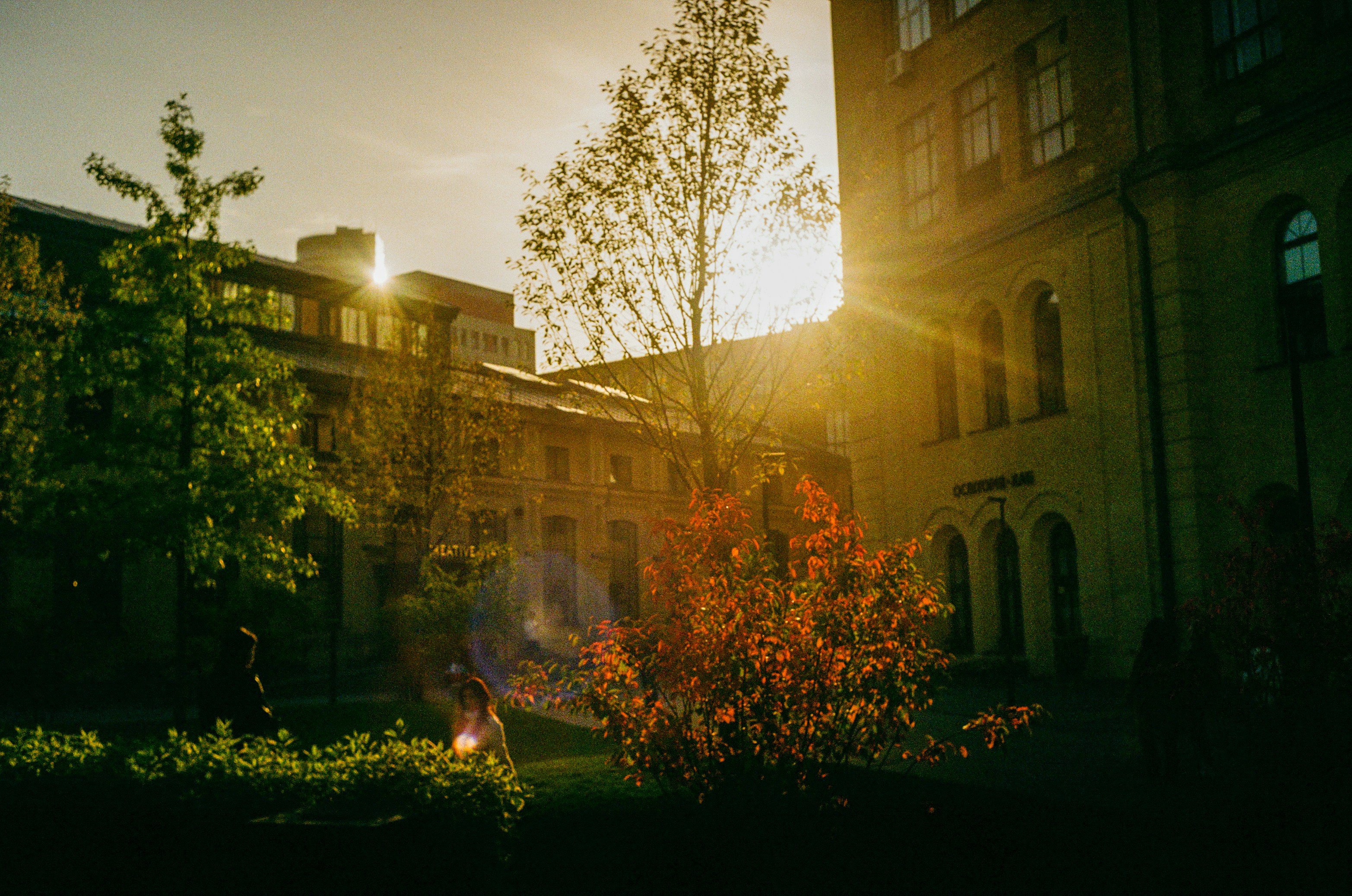 будівлі на вулиці києва