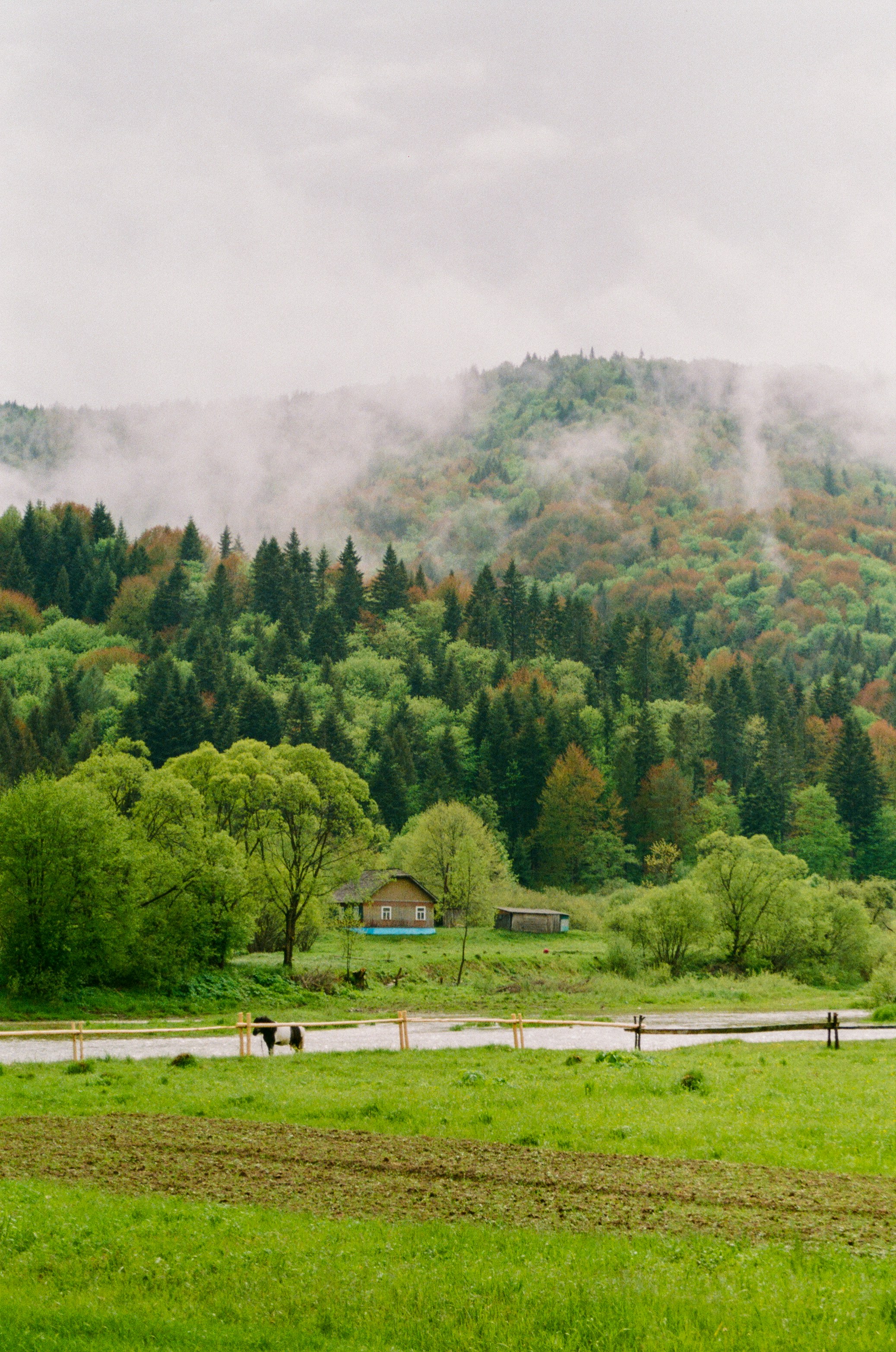 Photo by sashasmelova