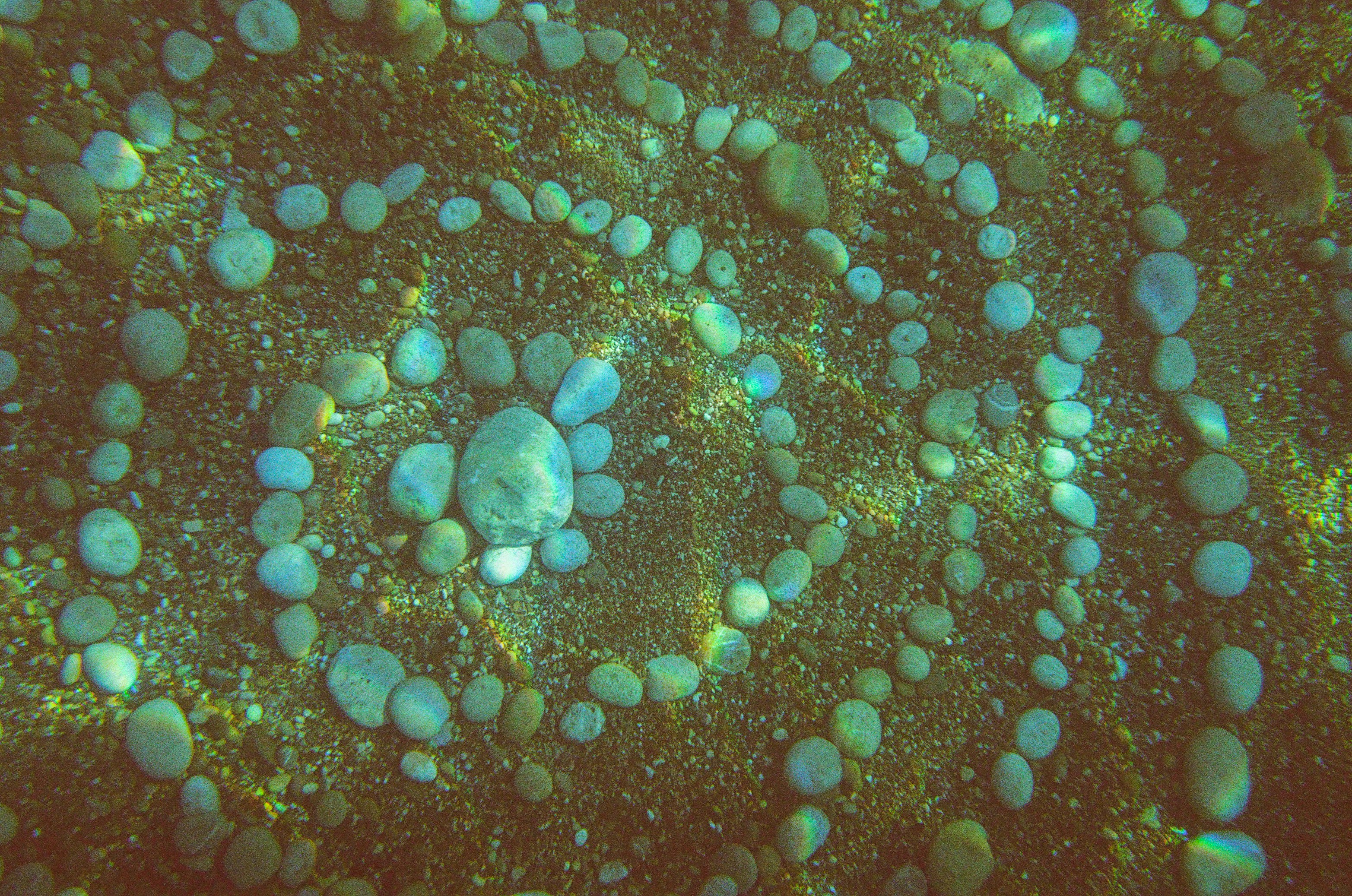 um close up de um monte de rochas debaixo d'água