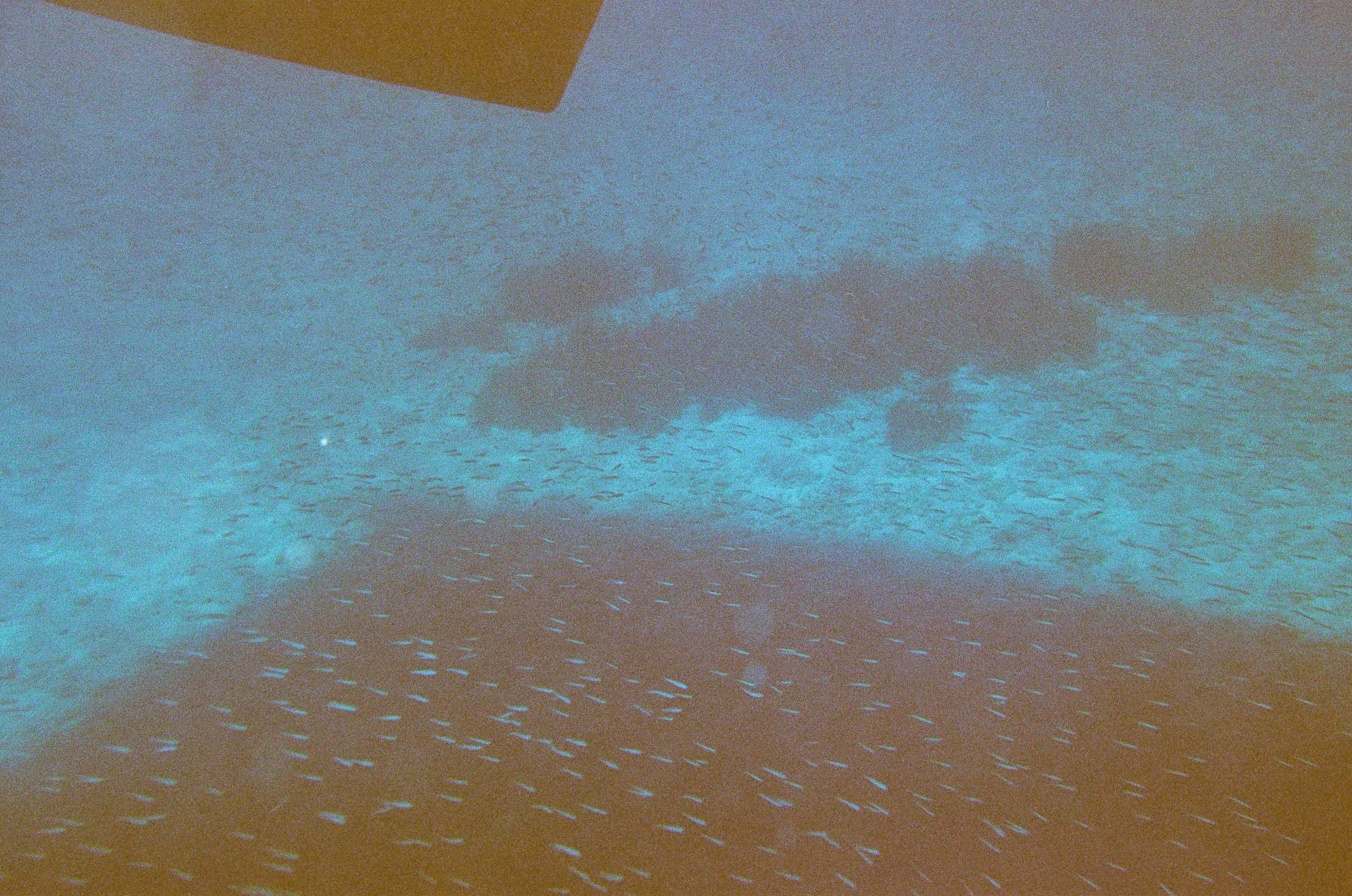 Photo by sashasmelova