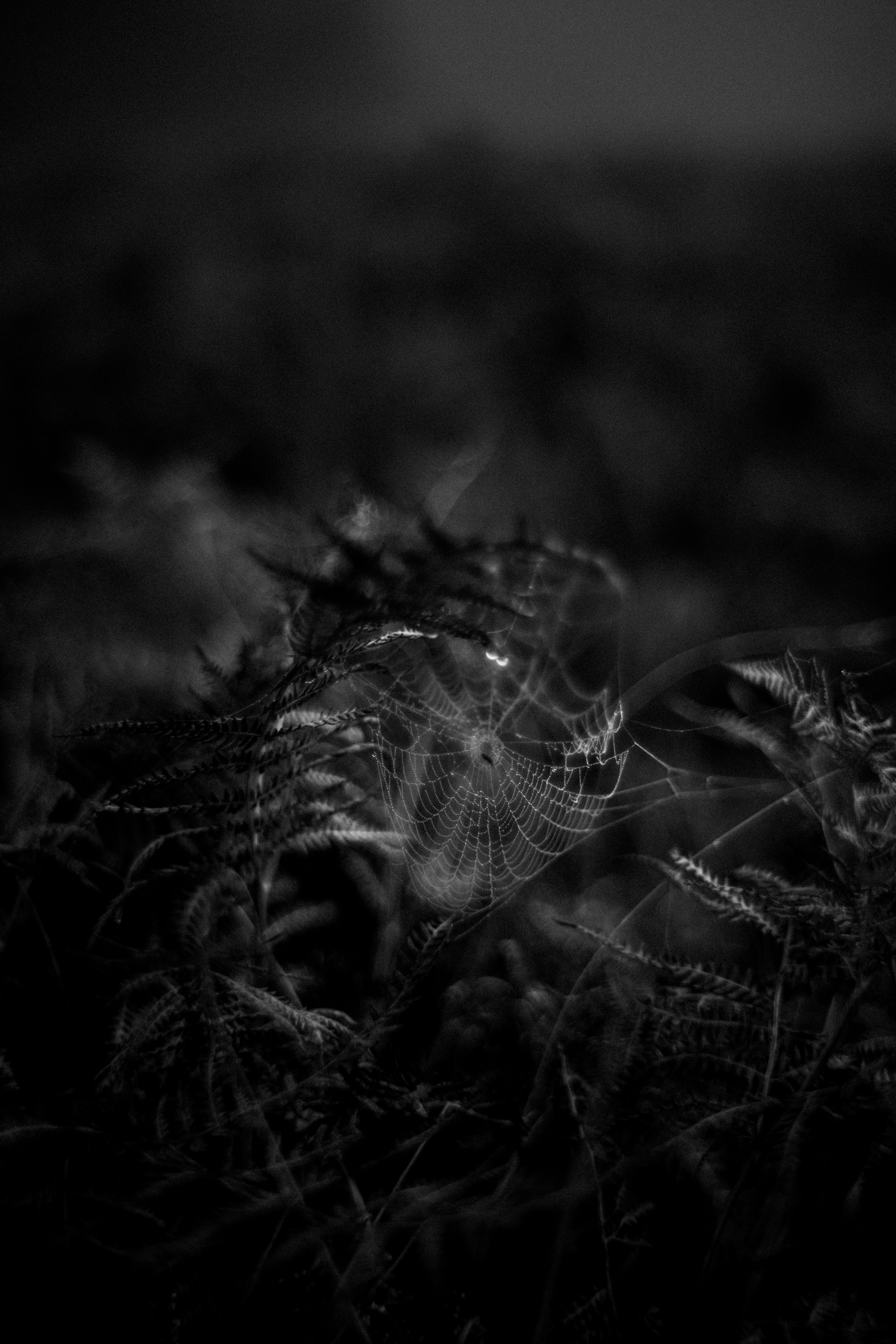 Photo by anniespratt