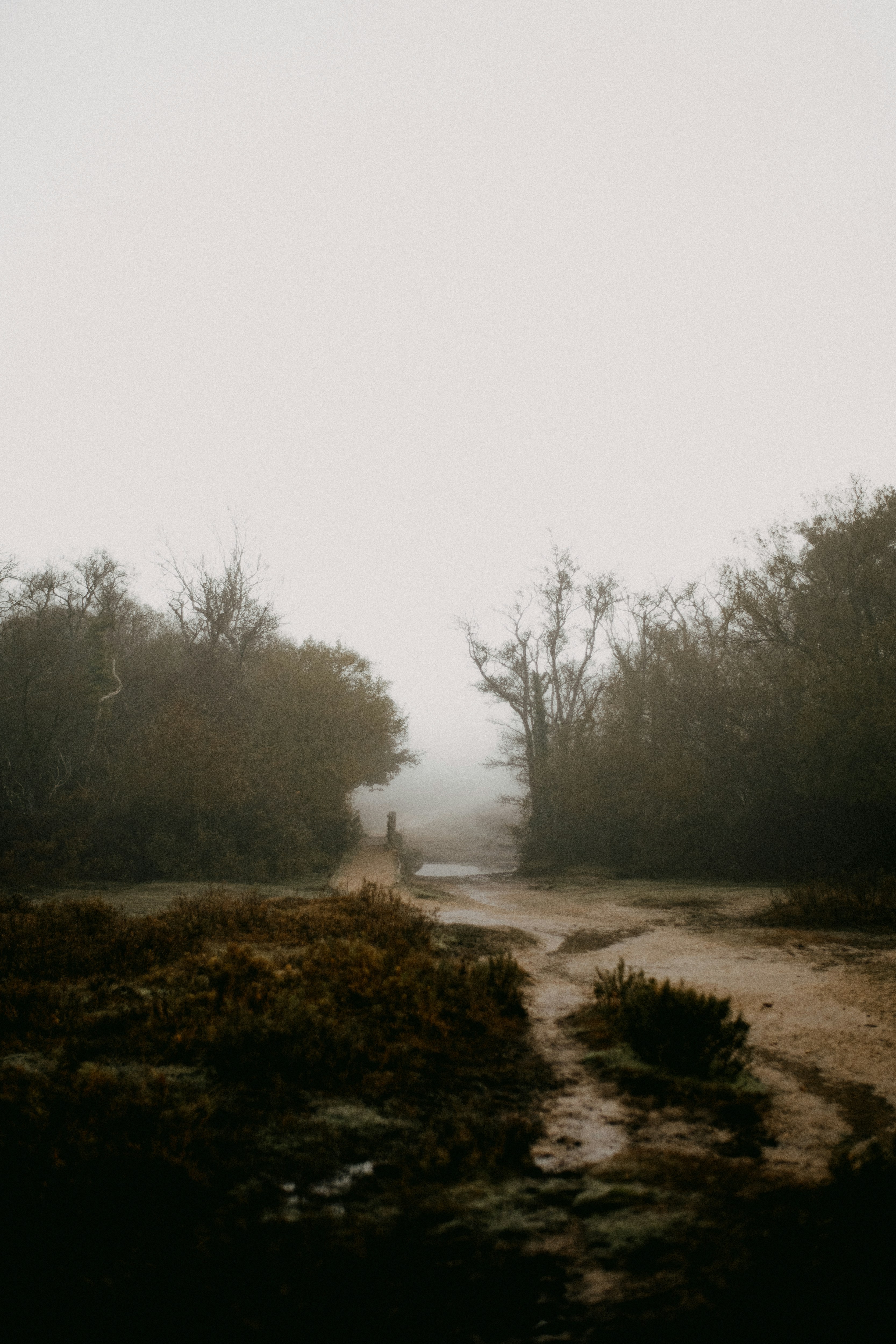 Photo by anniespratt