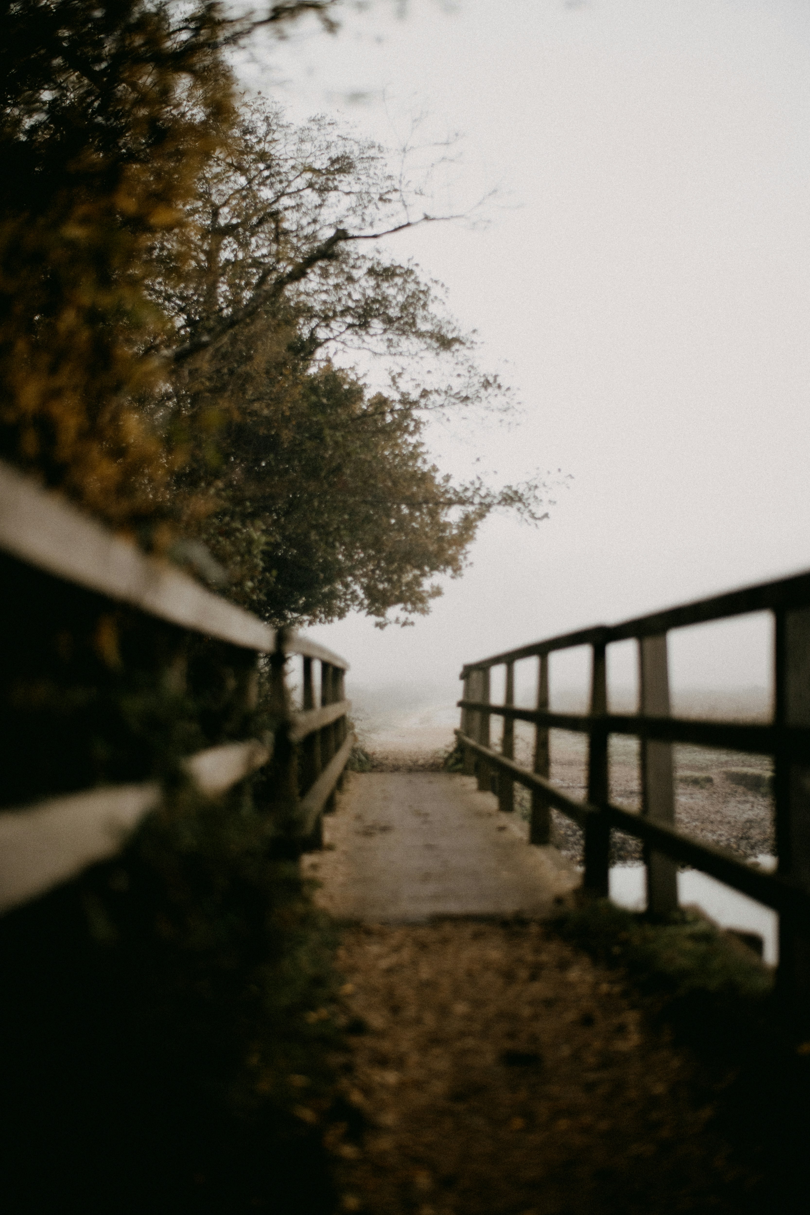 Photo by anniespratt