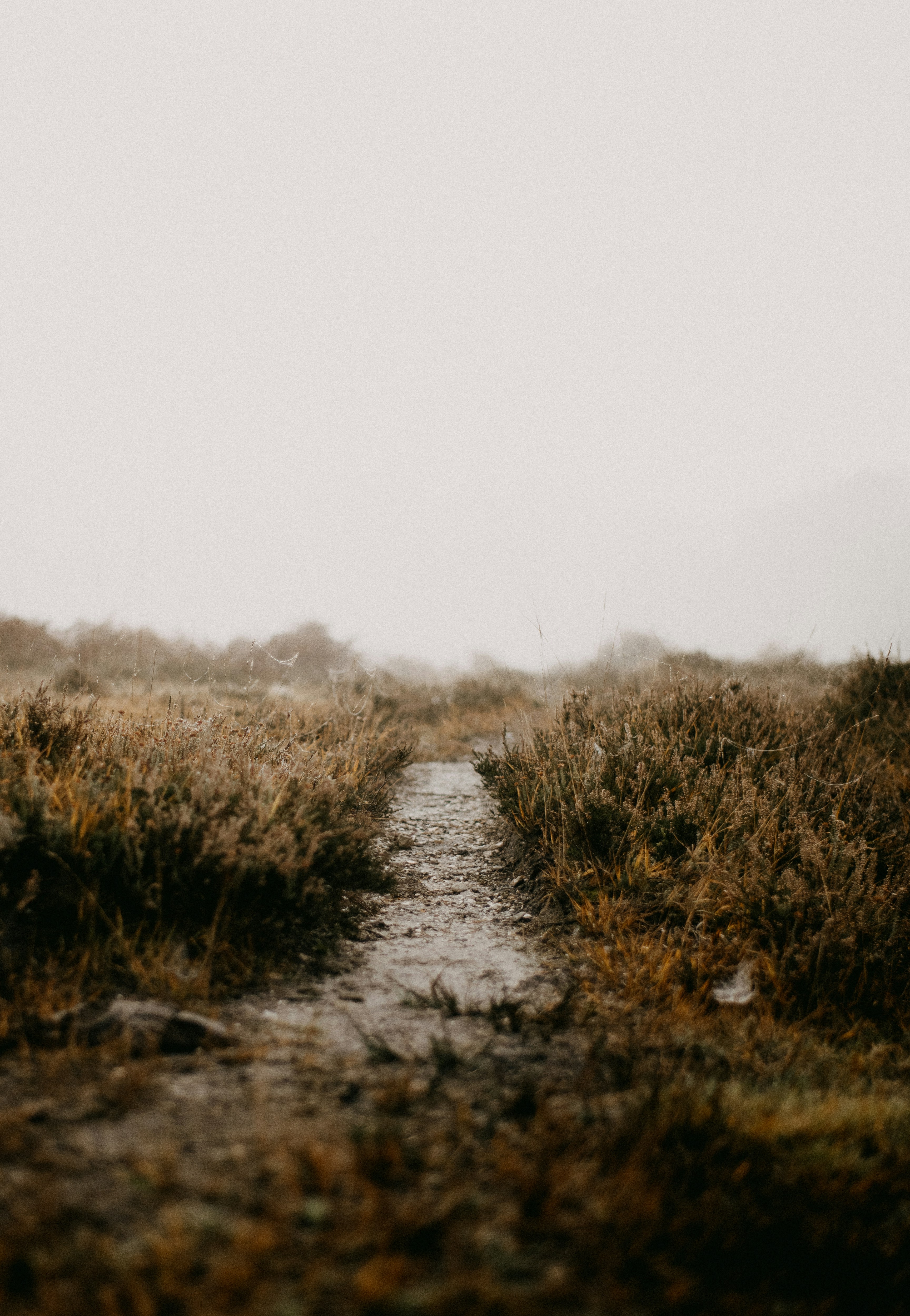 Photo by anniespratt