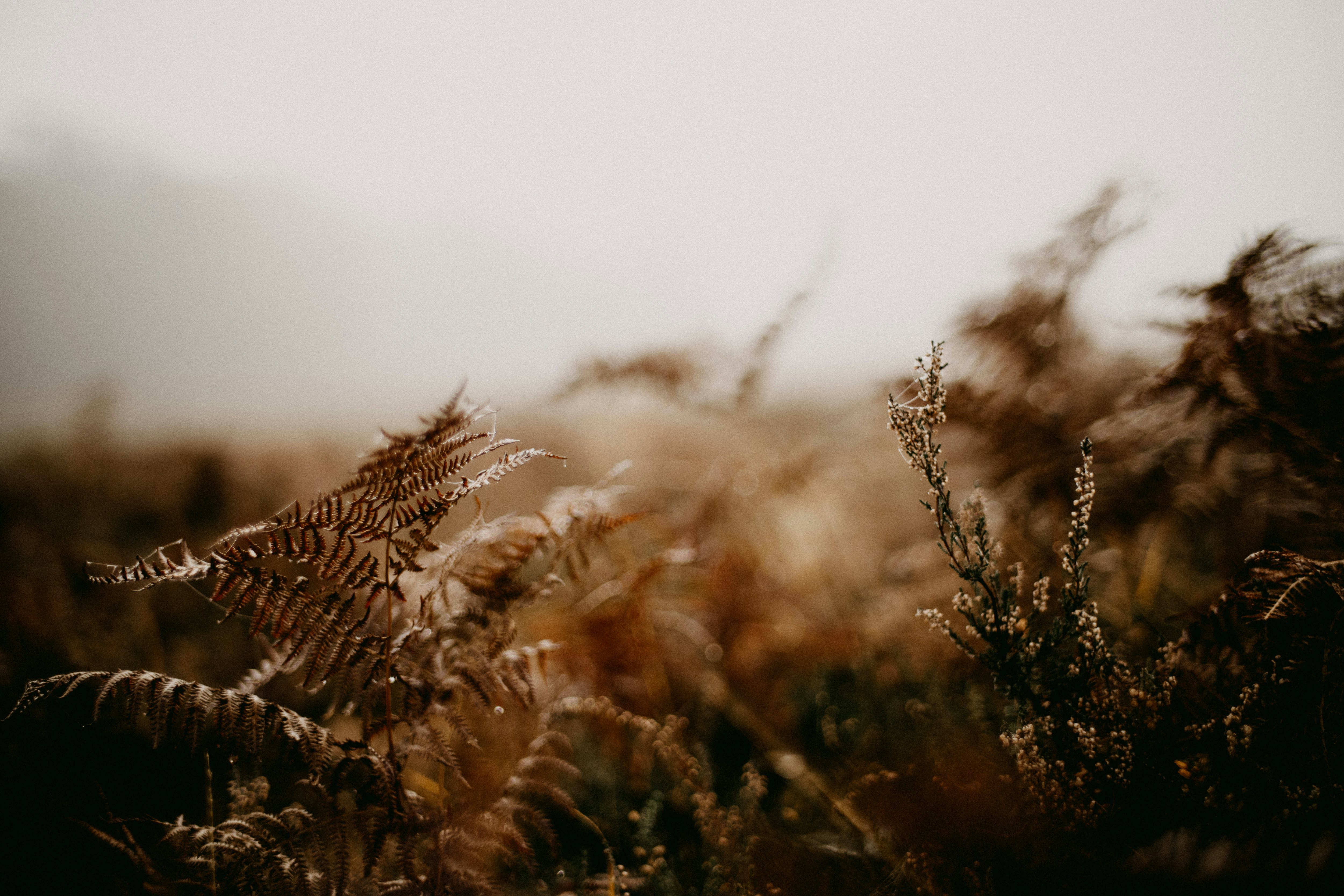 Photo by anniespratt