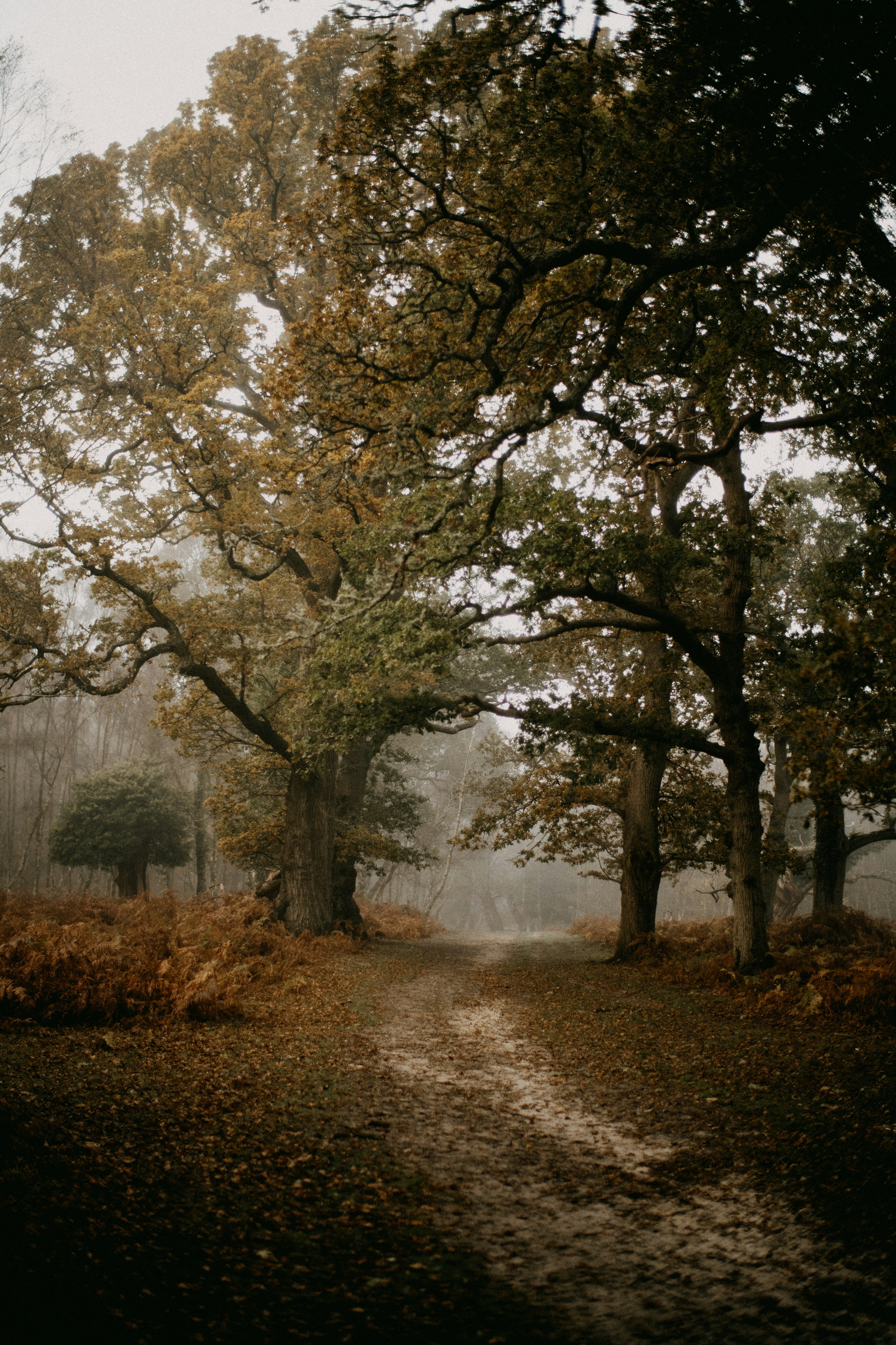 Photo by anniespratt