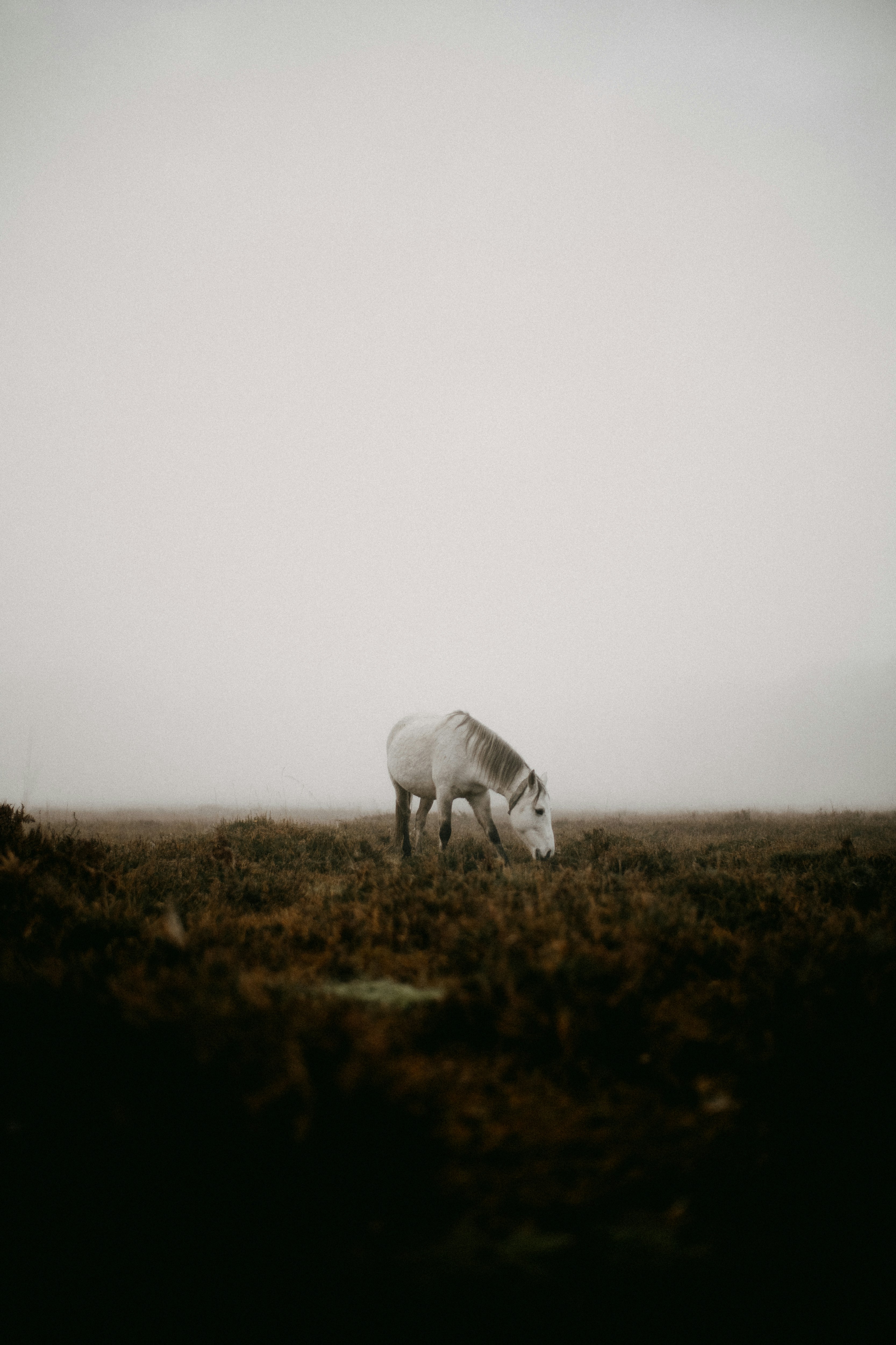 Photo by anniespratt