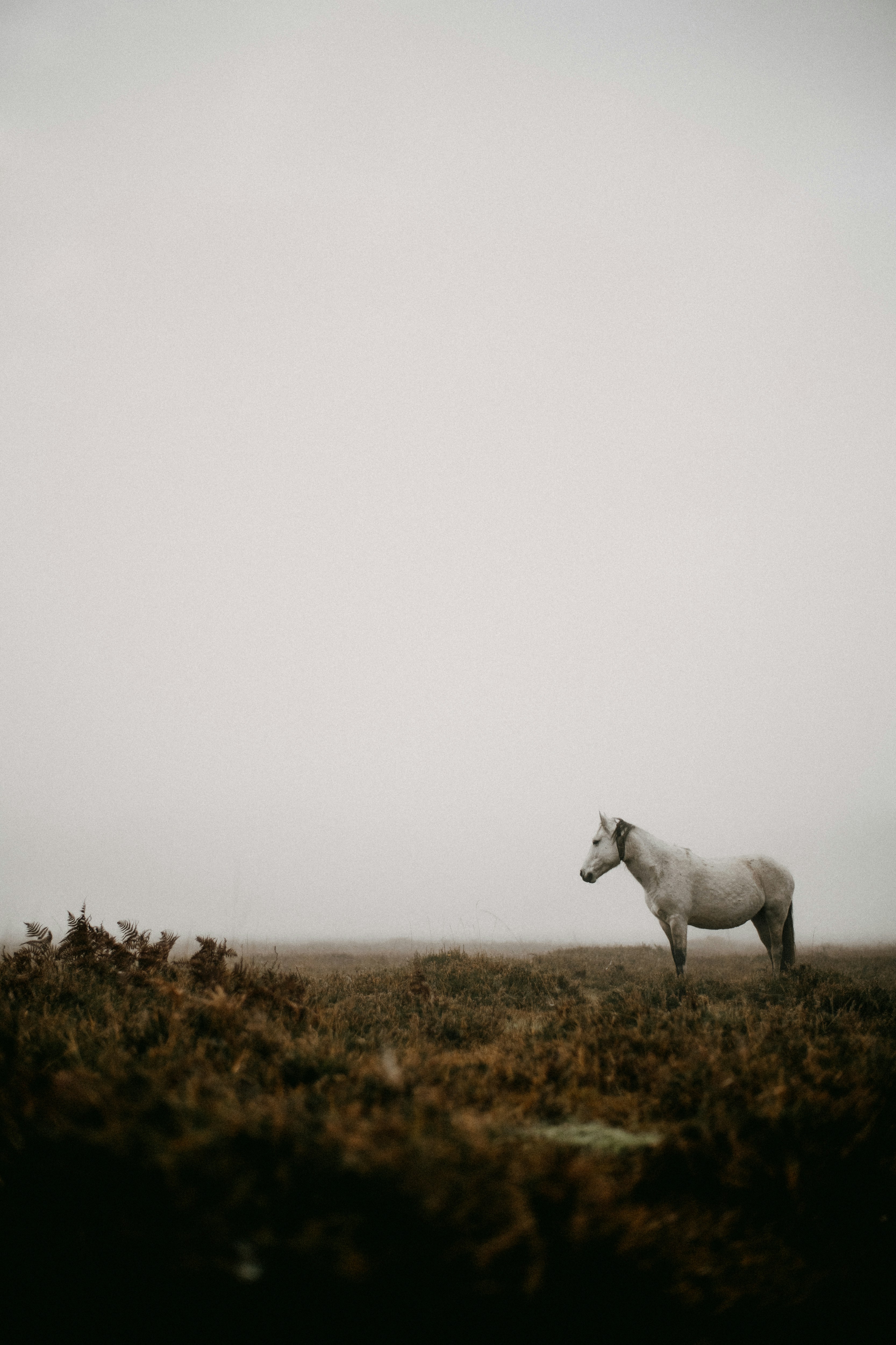 Photo by anniespratt