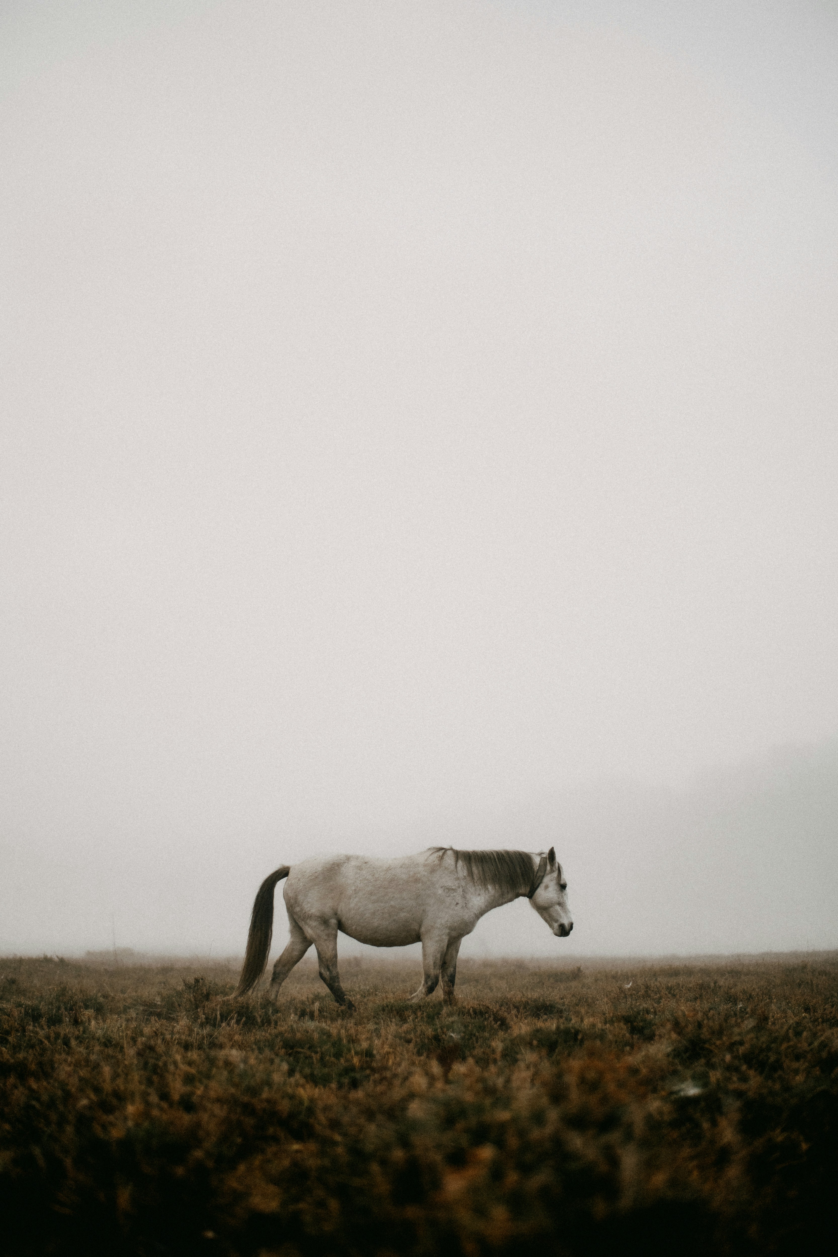 Photo by anniespratt