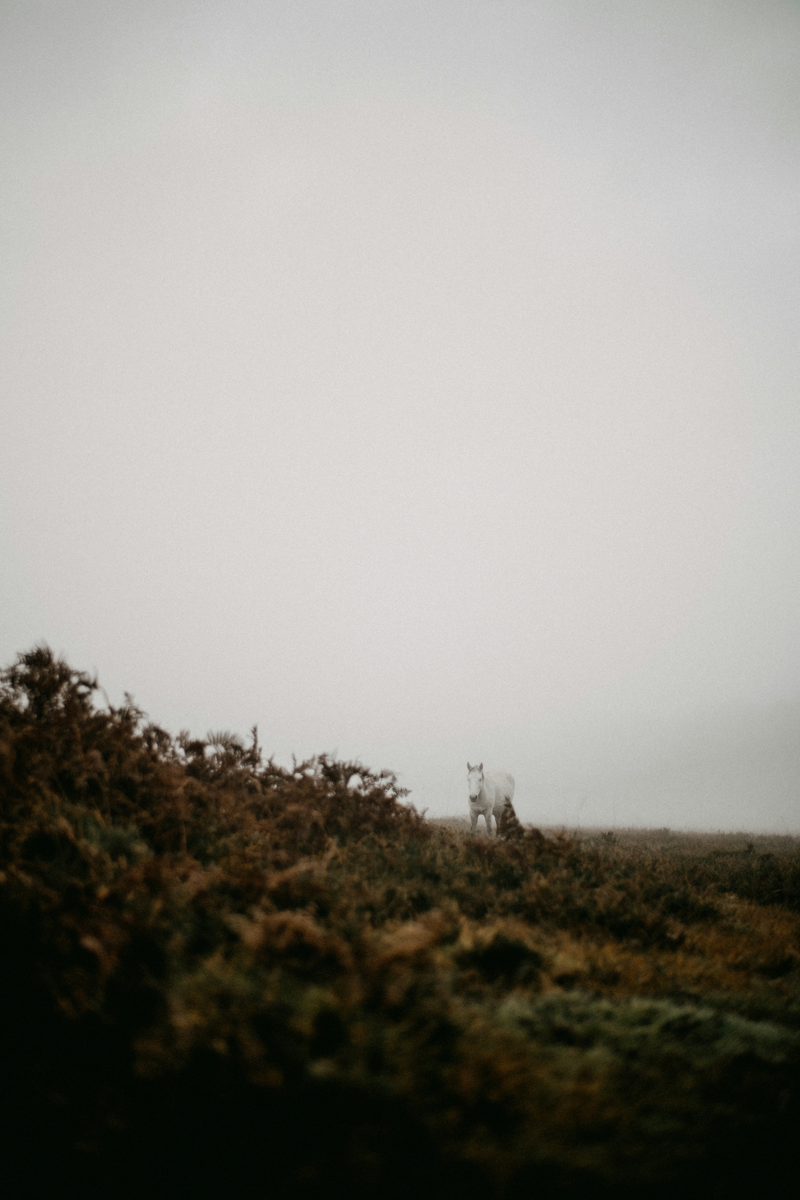 Photo by anniespratt