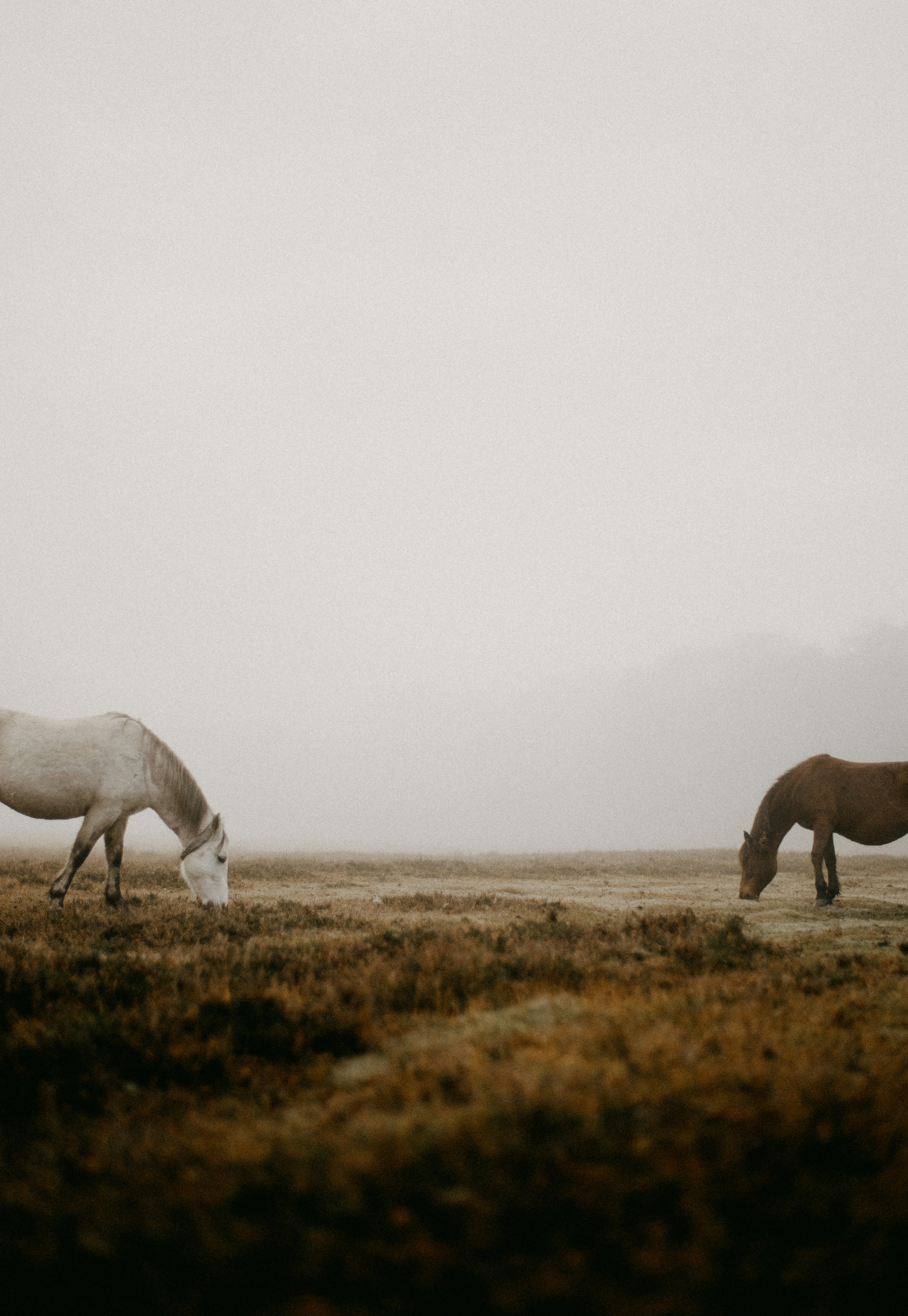 Photo by anniespratt