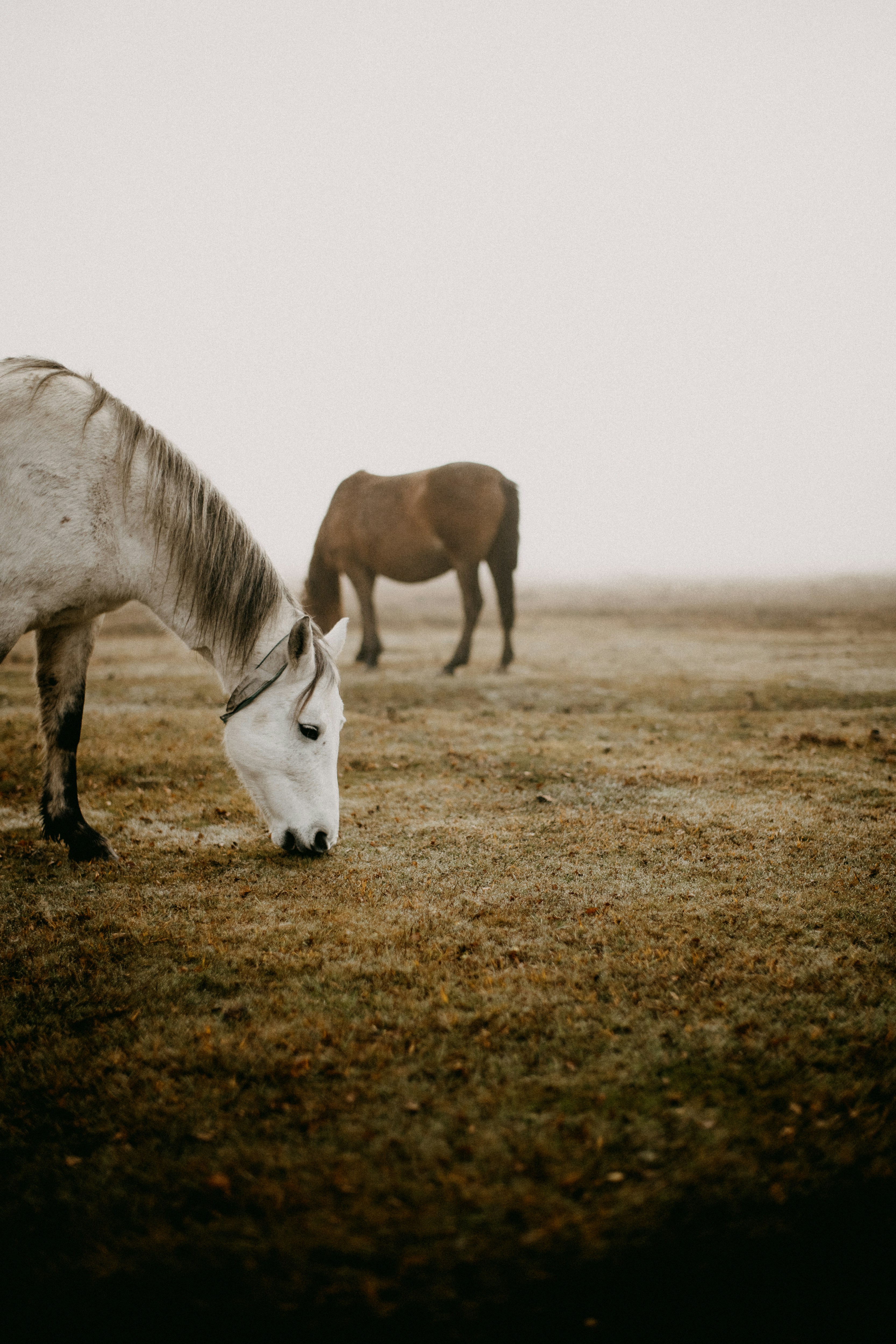 Photo by anniespratt