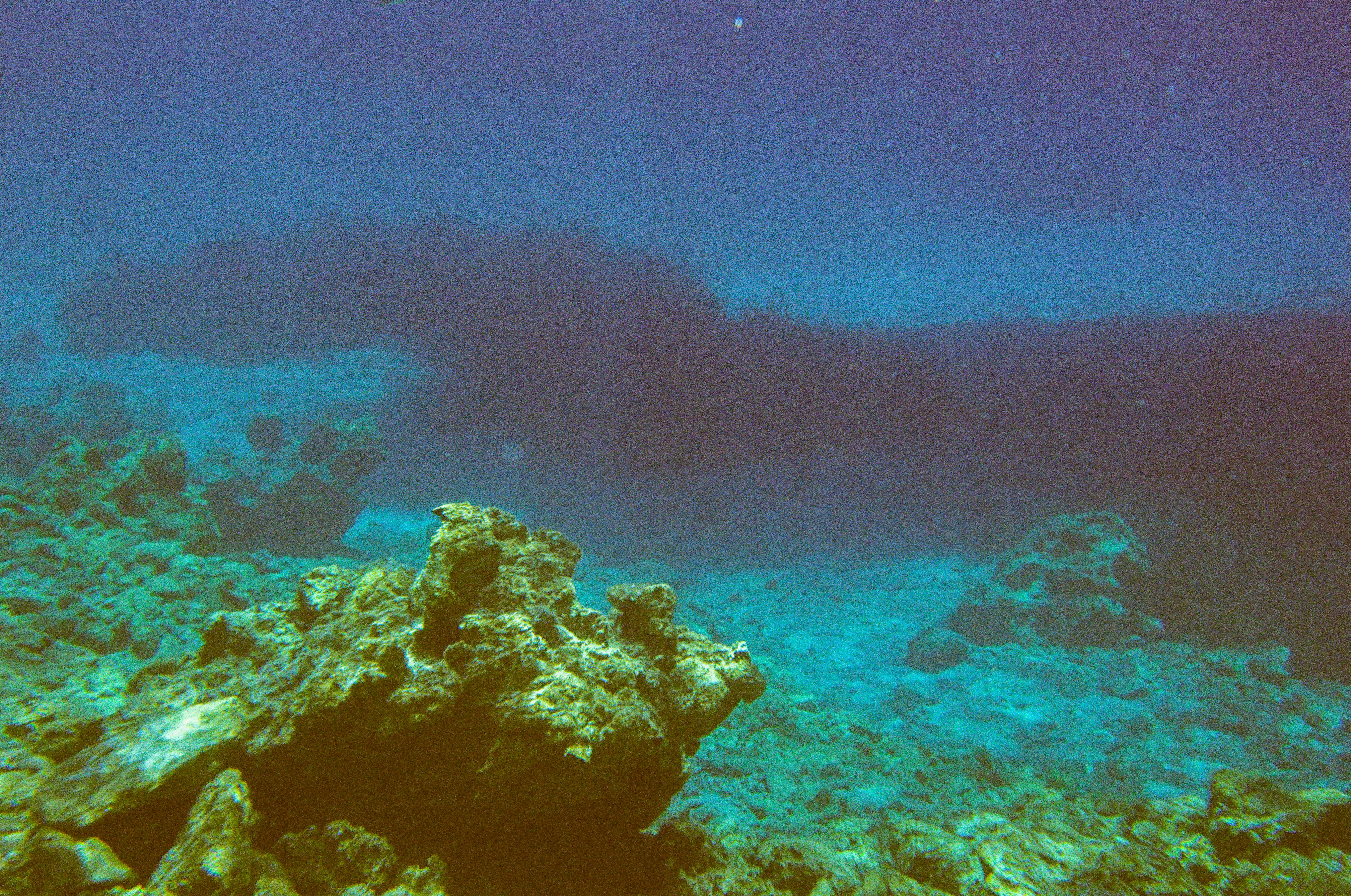 Photo by sashasmelova