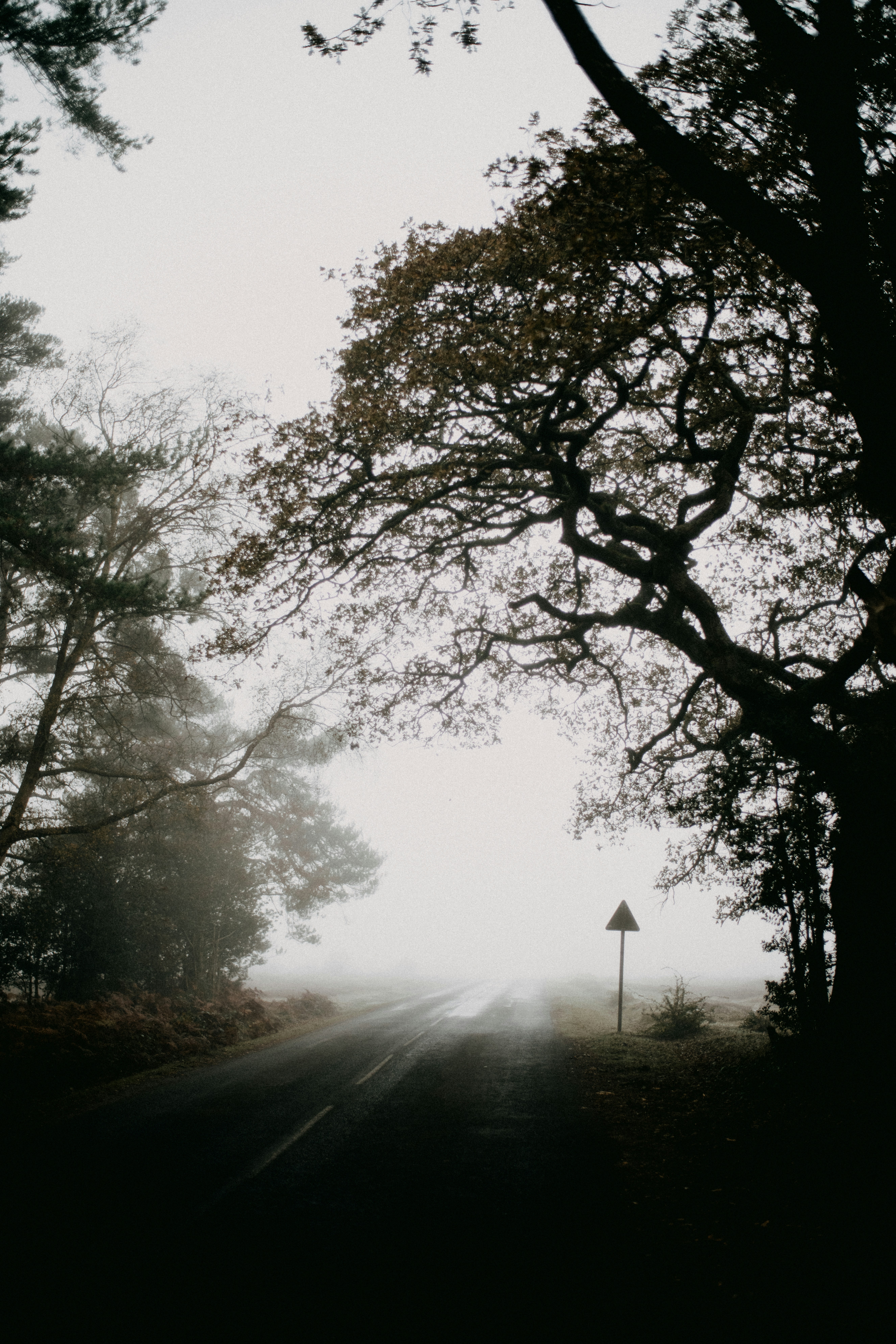 Photo by anniespratt