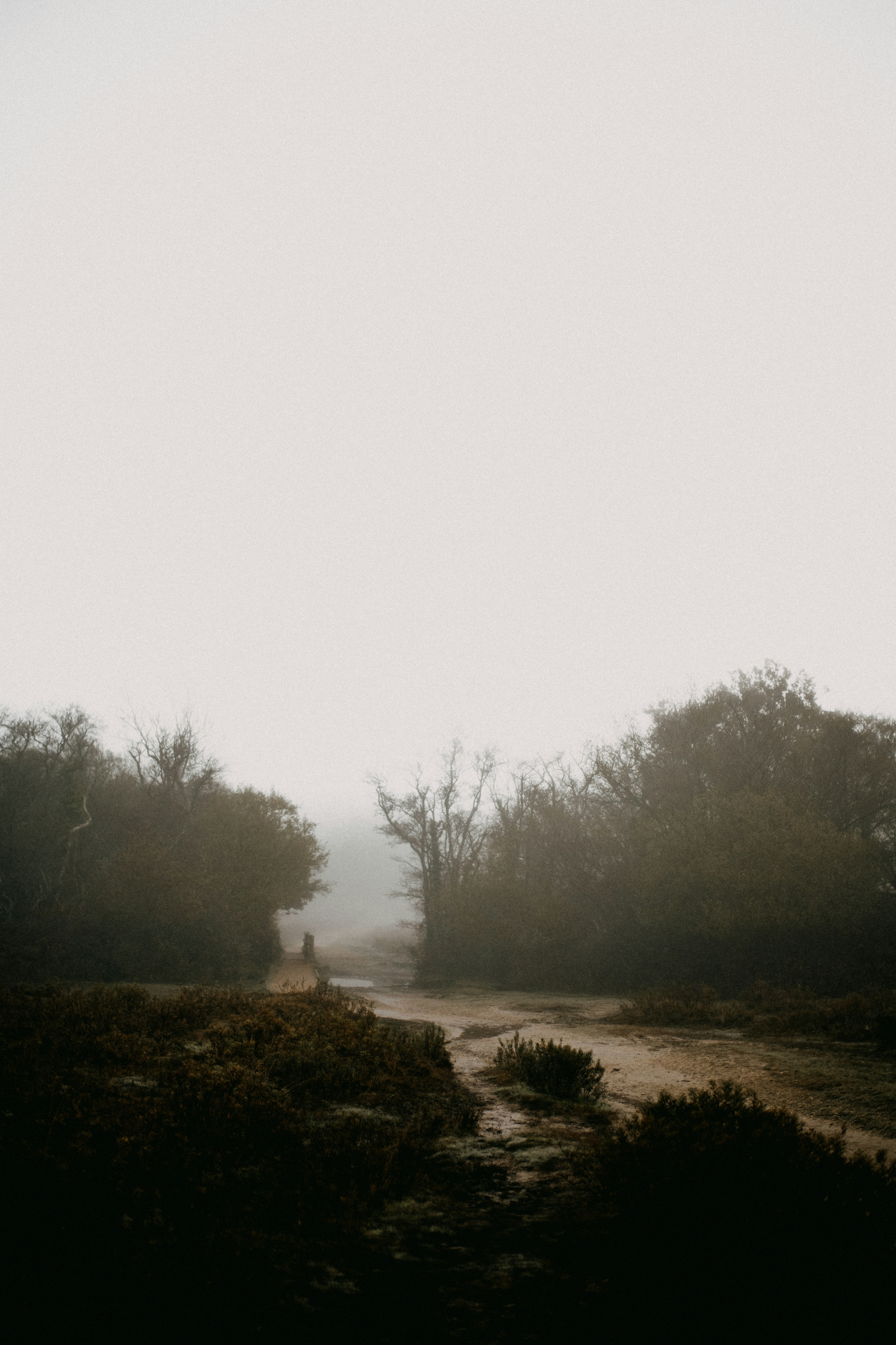 Photo by anniespratt